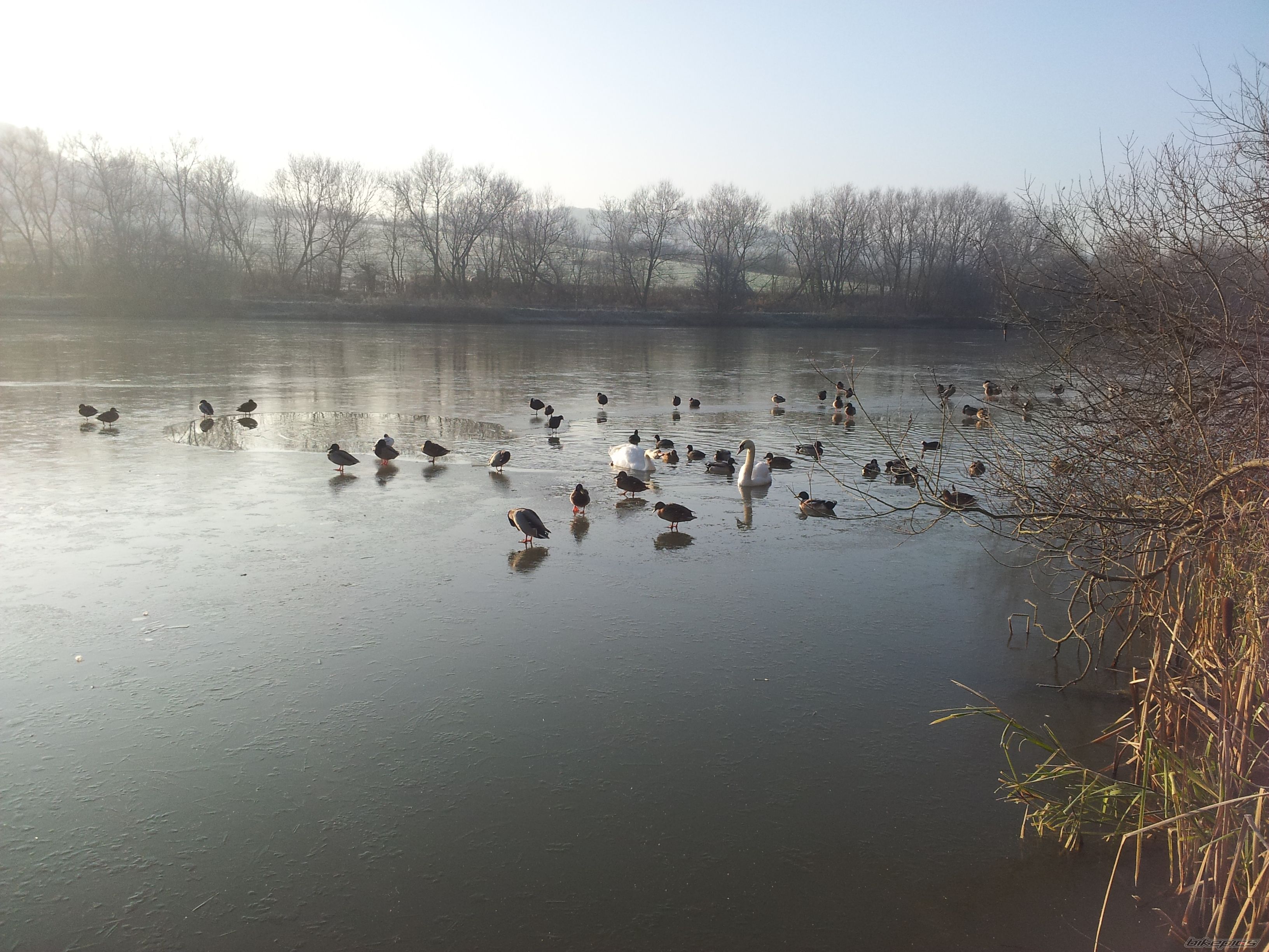 Photo 2489929