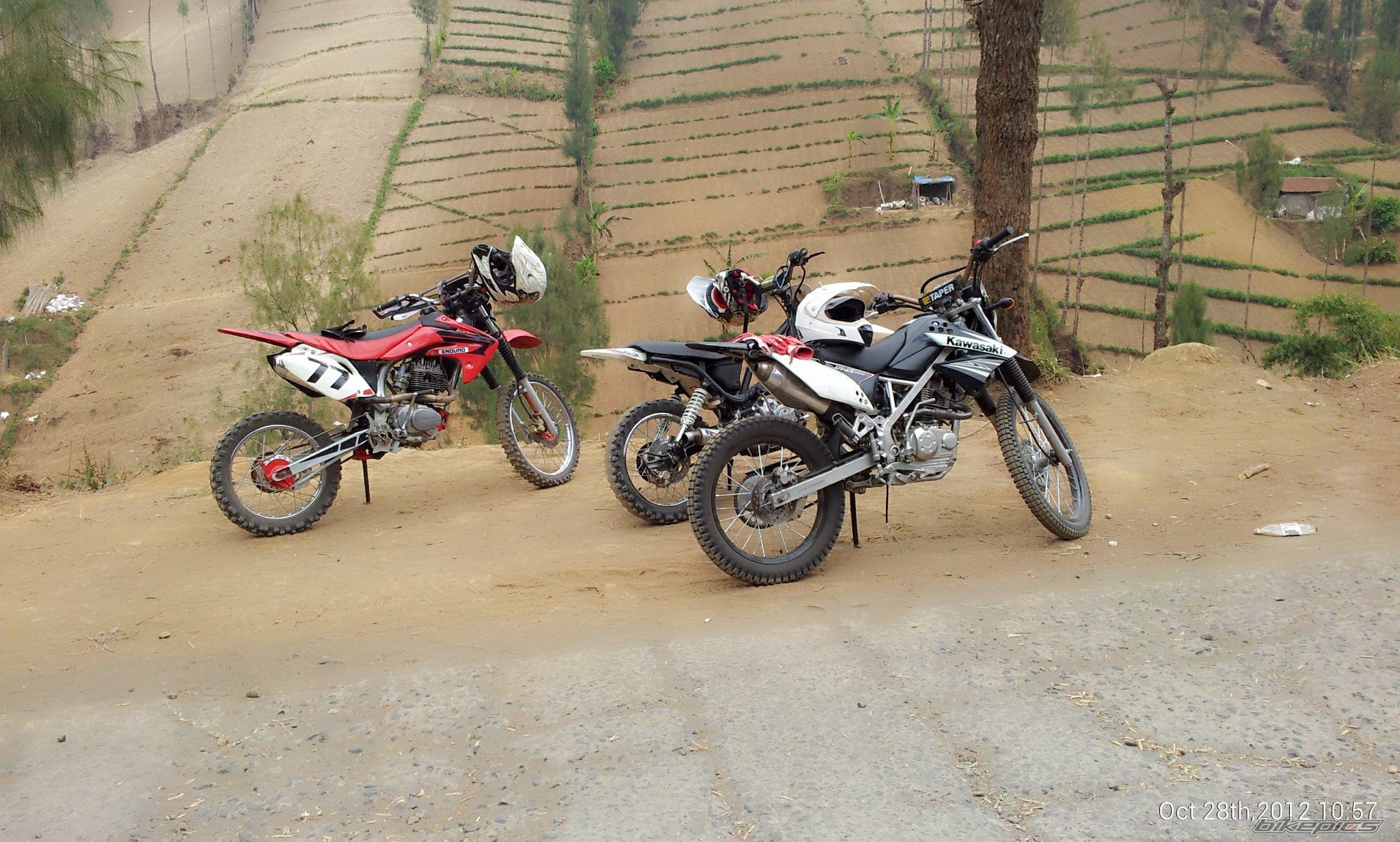 Photo 2489989