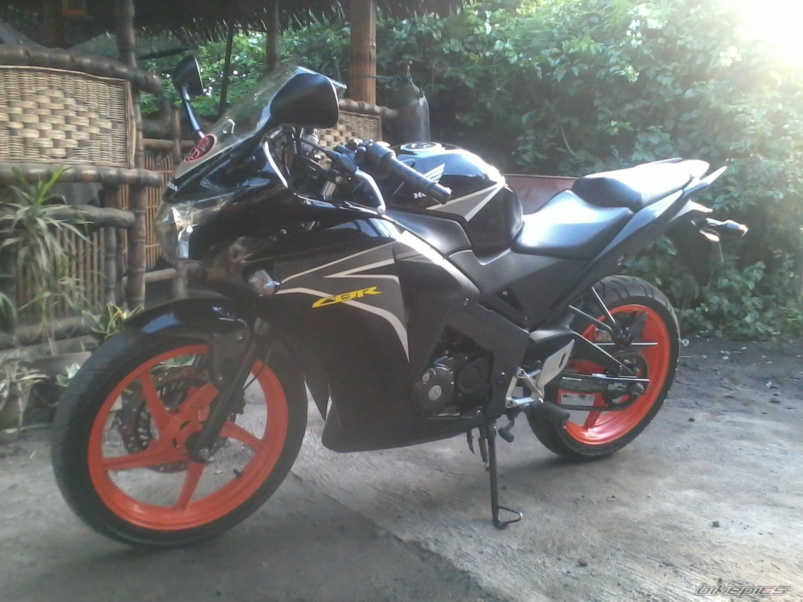 Photo 2490011