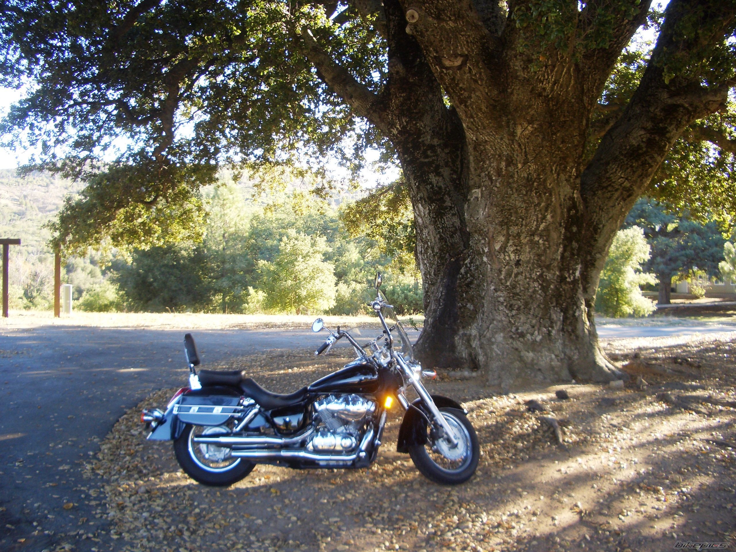 Photo 2490023