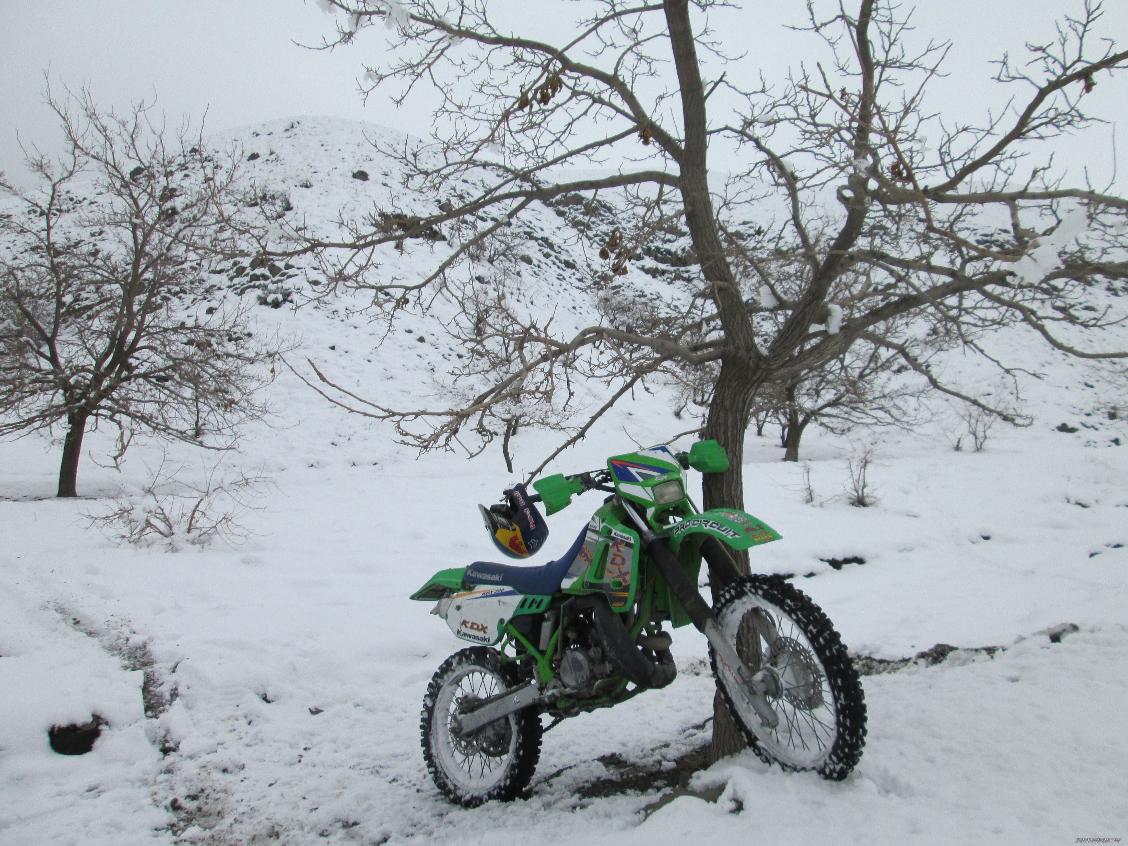 Photo 2490092