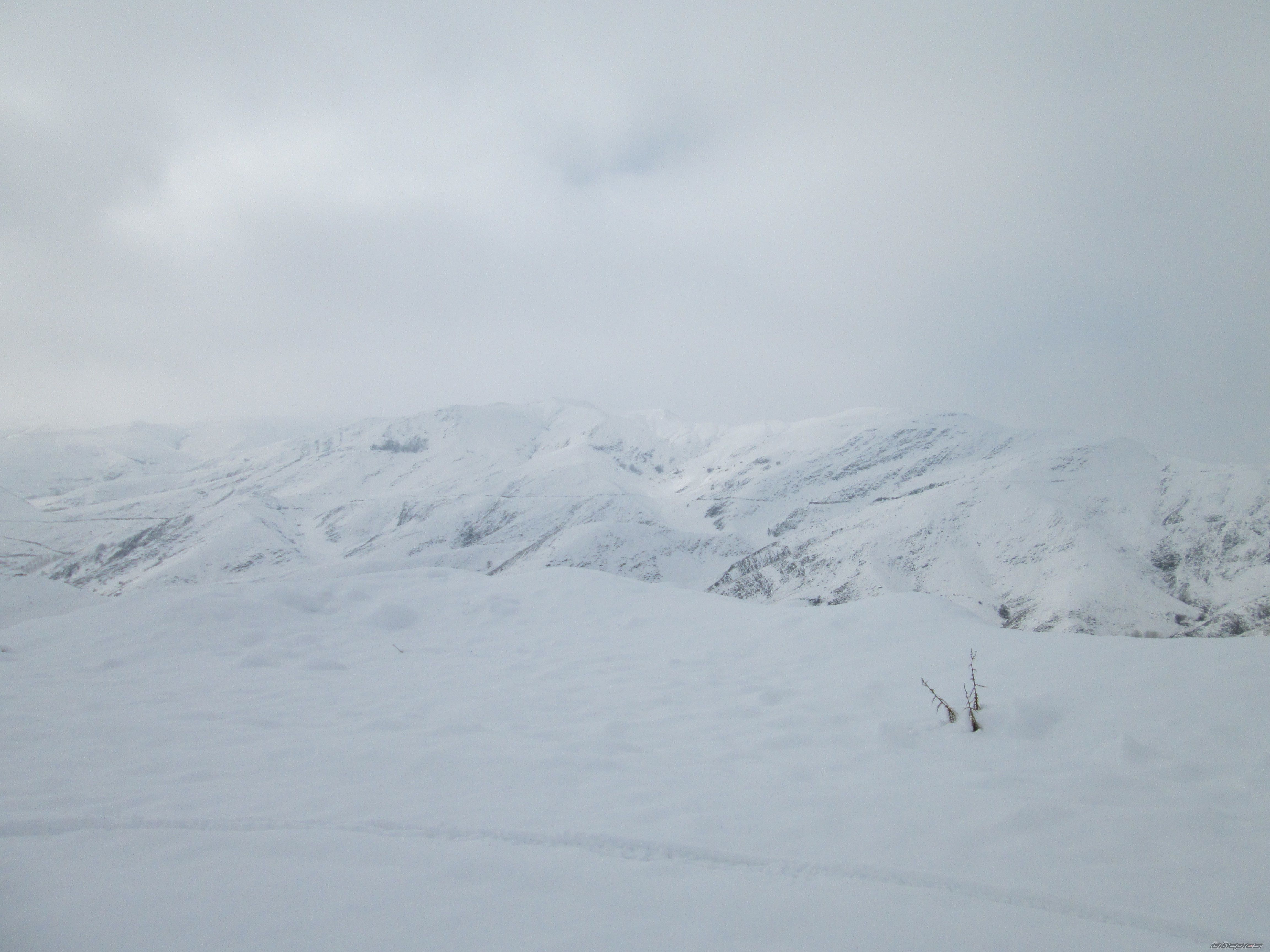 Photo 2490102