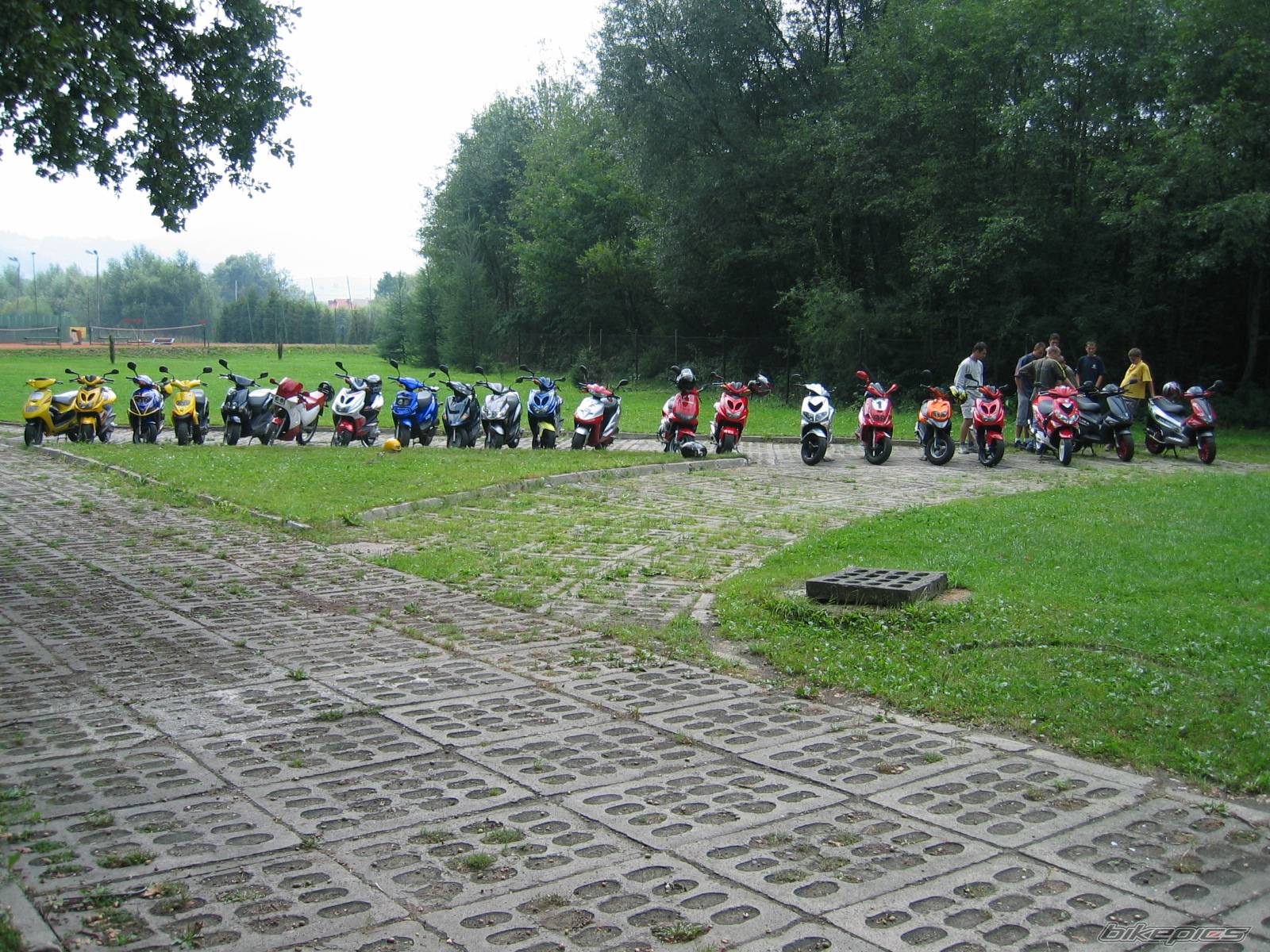 Photo 249032