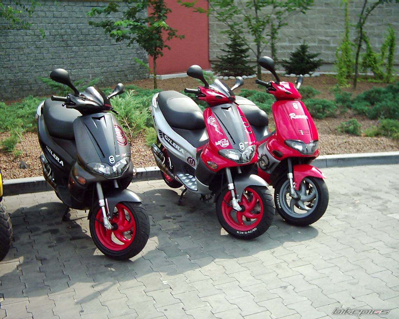 Bike Photo 249033