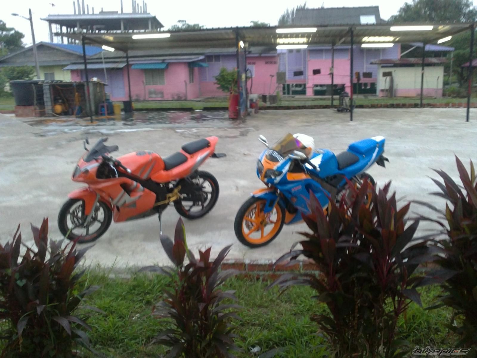 Photo 2490382