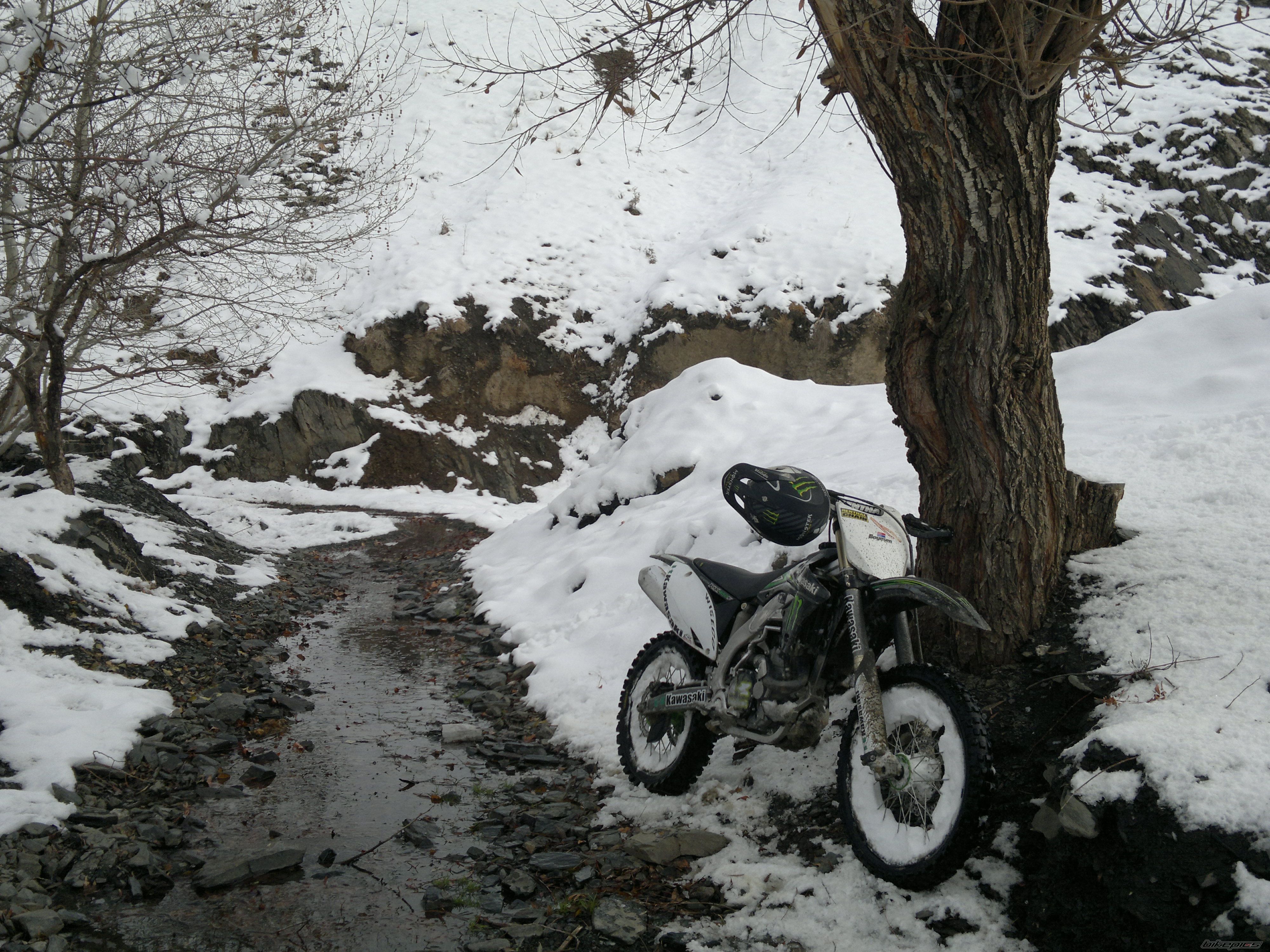 Photo 2490407