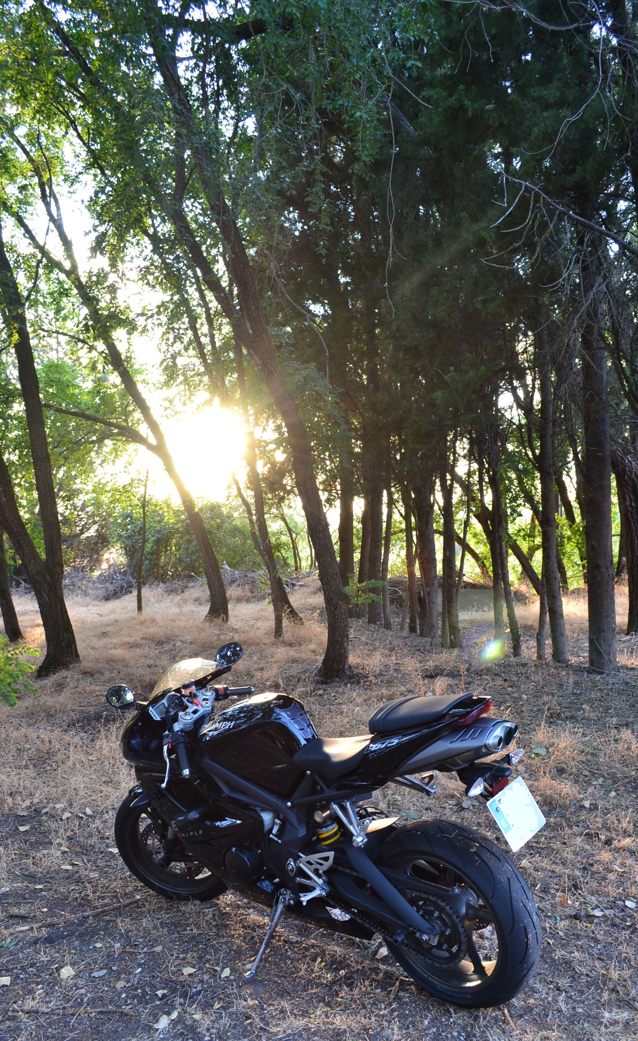 Photo 2490464