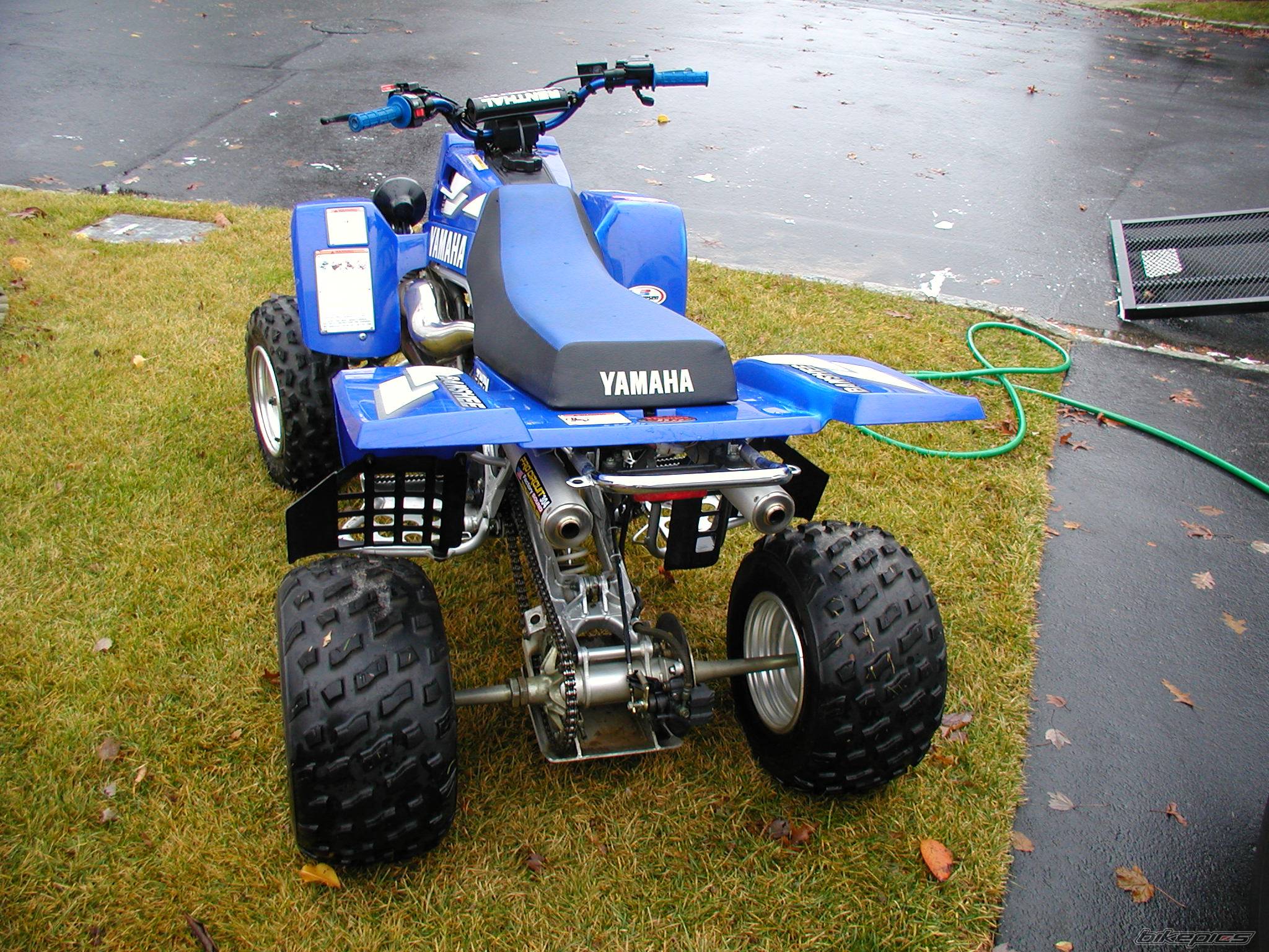 Photo 249068