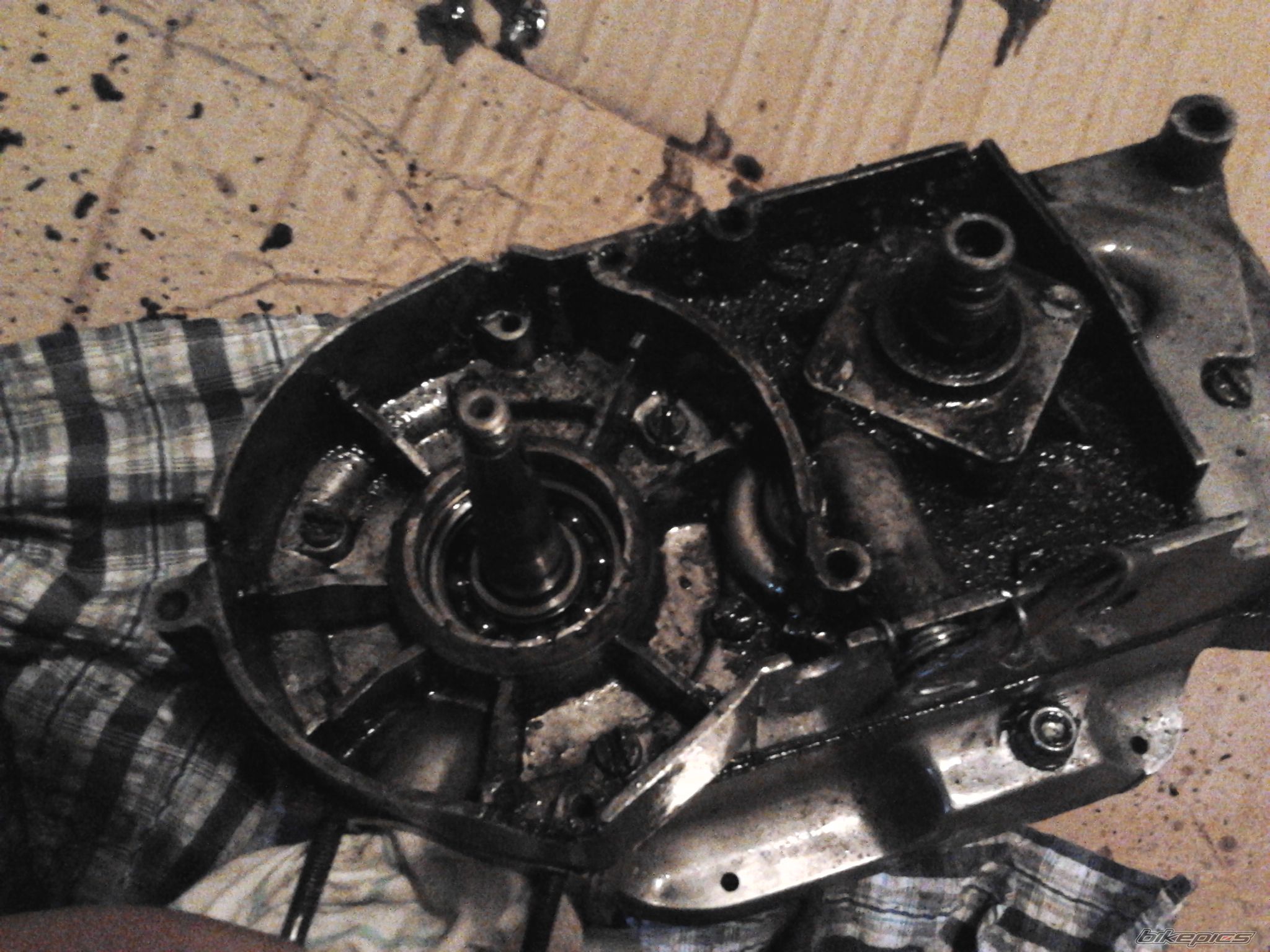 Photo 2490690