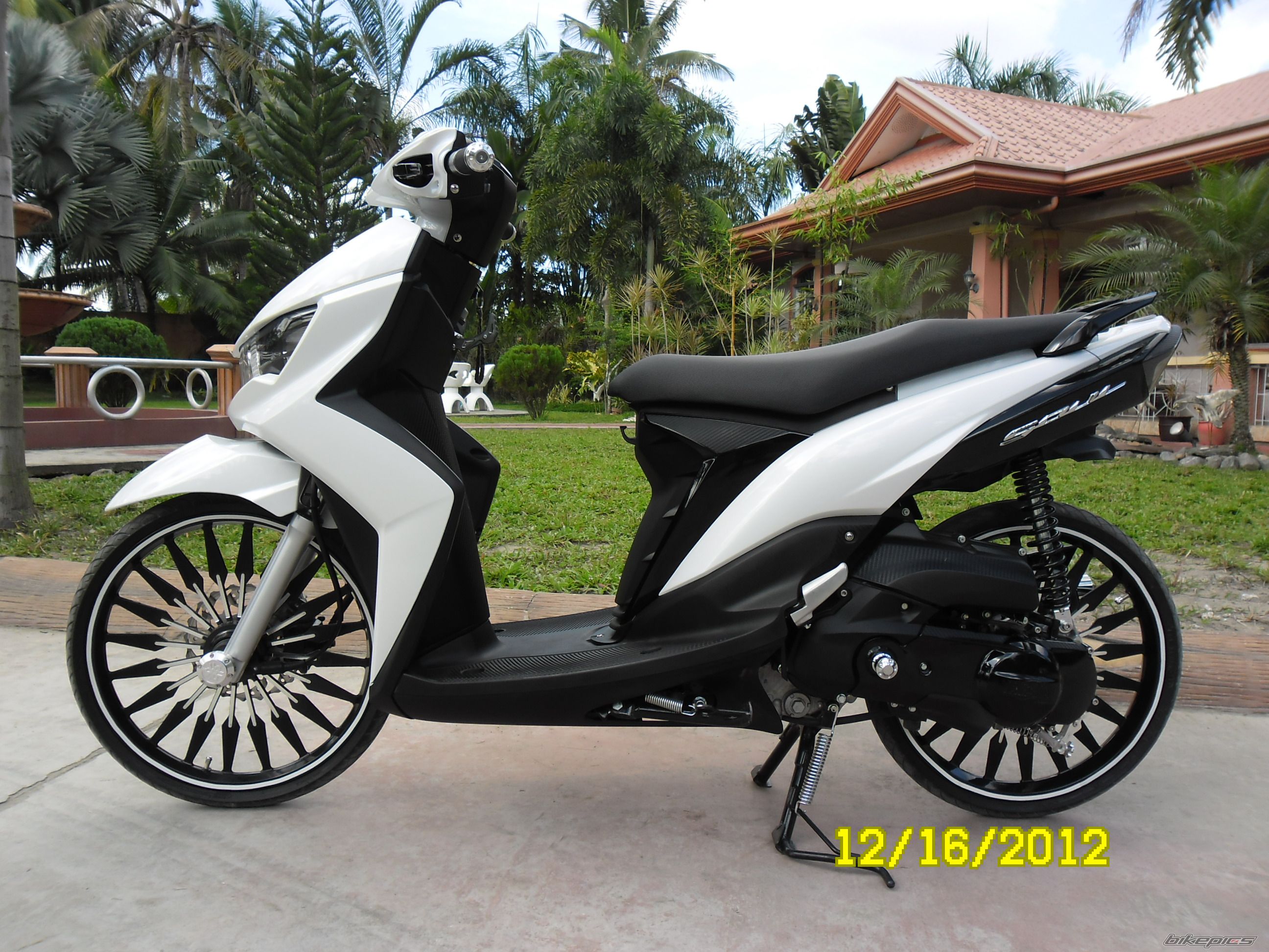 Photo 2490839