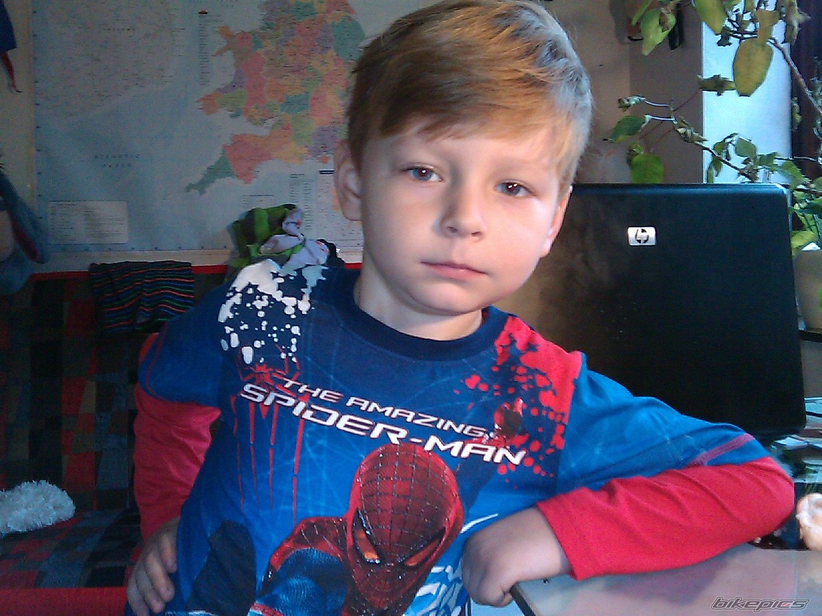 Photo 2490888