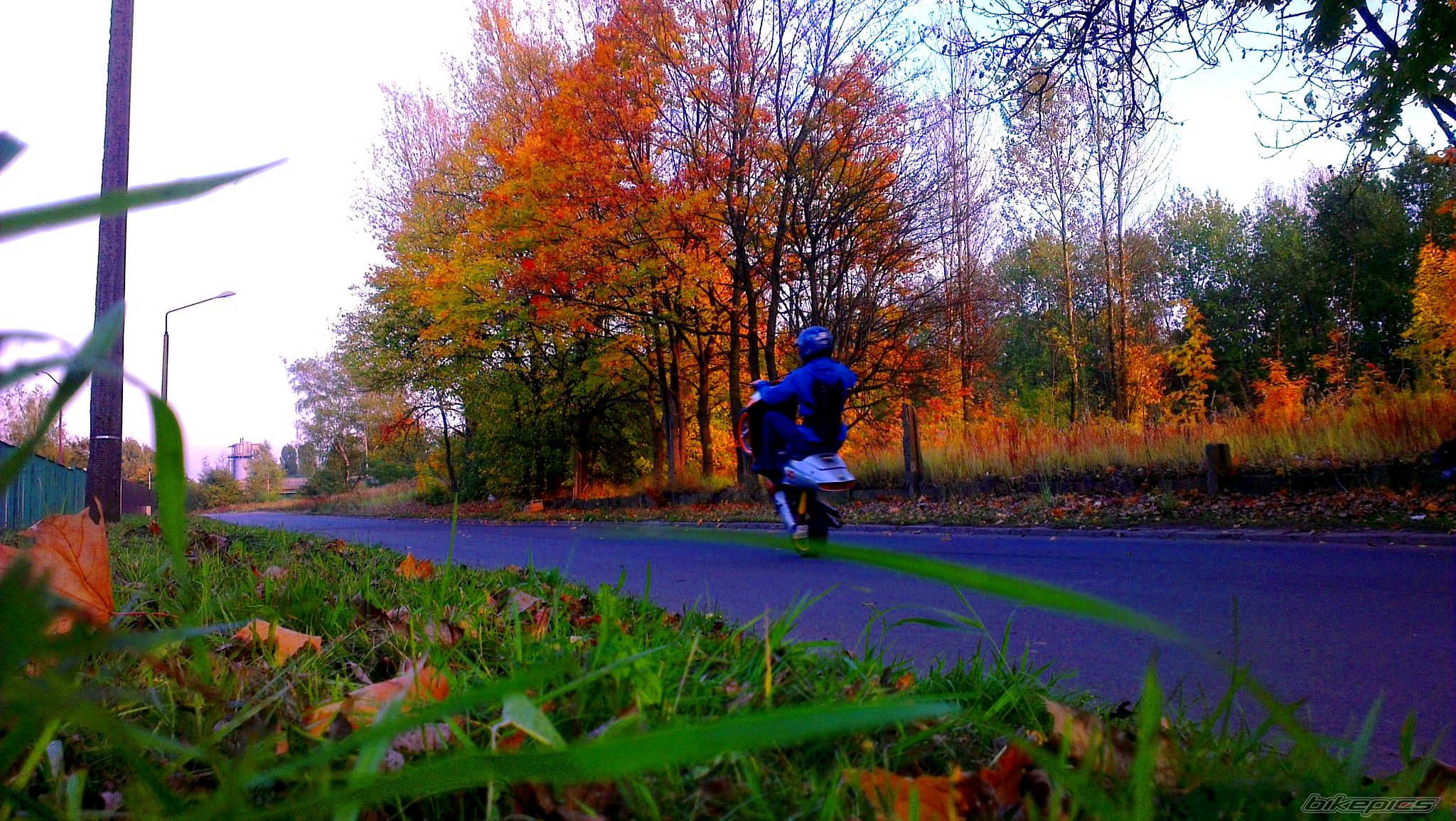 Bike Photo 2491001