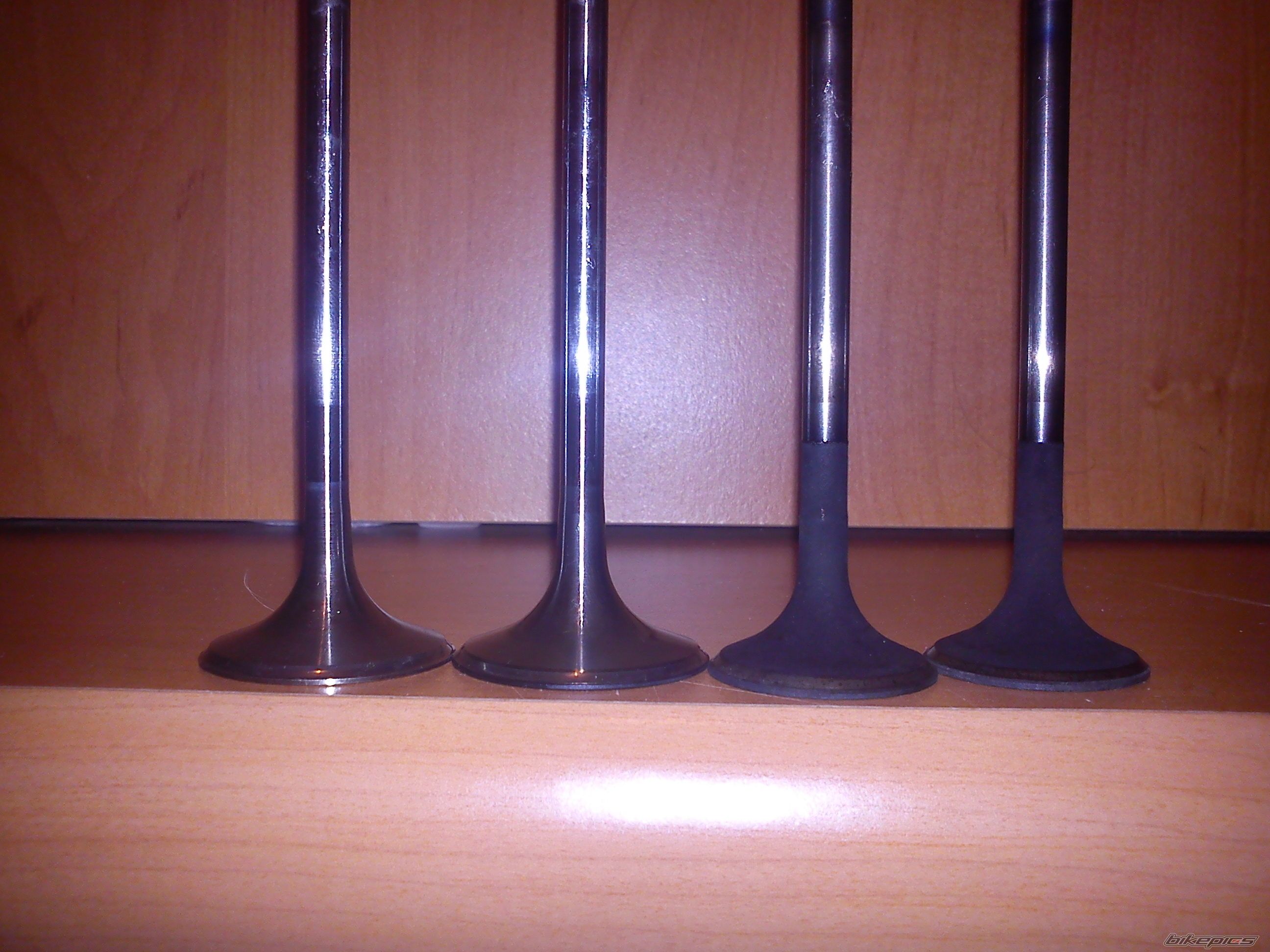 Photo 2491058