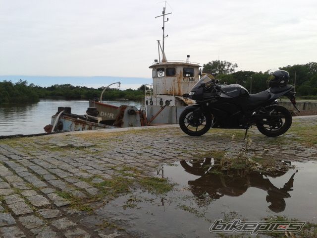 Photo 2491120