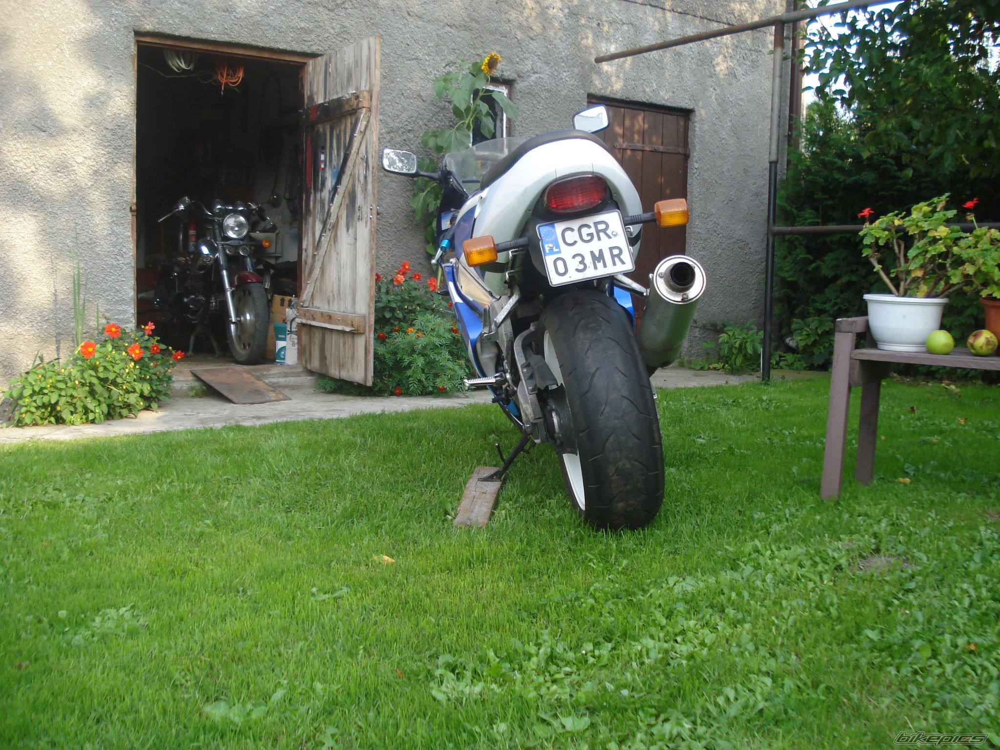 Photo 2491162