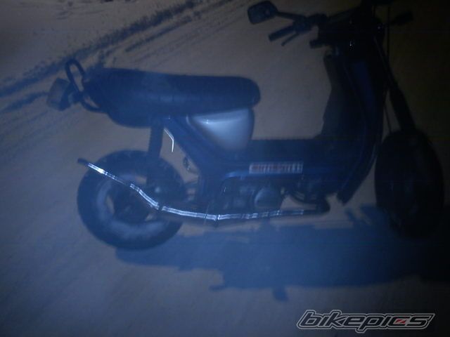 Photo 2491181