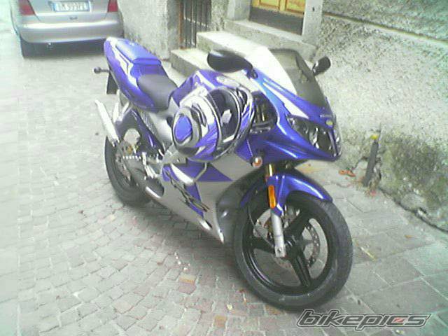 Photo 249124
