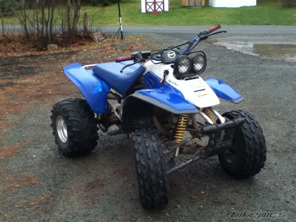 Photo 2491263