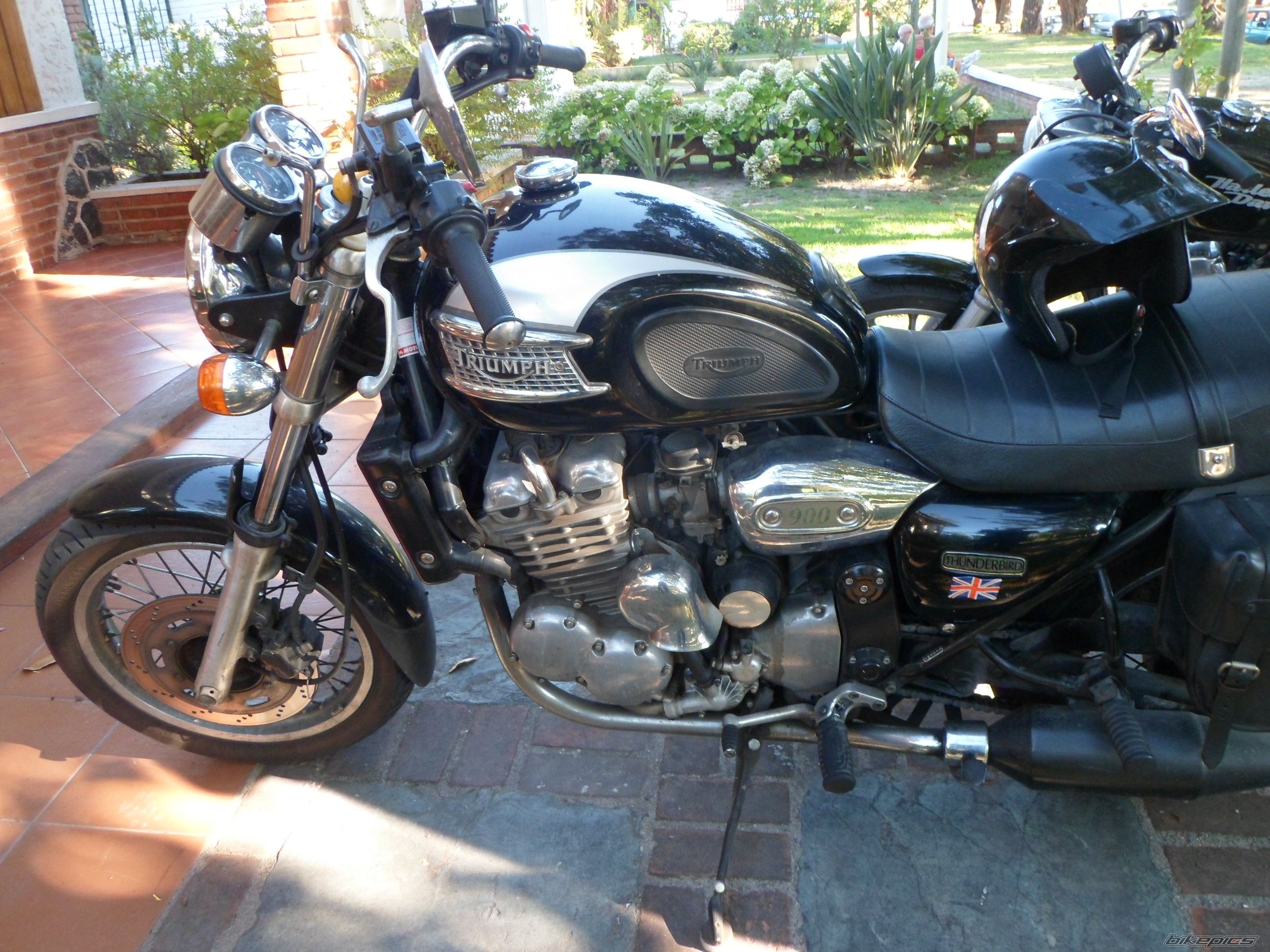 Photo 2491390