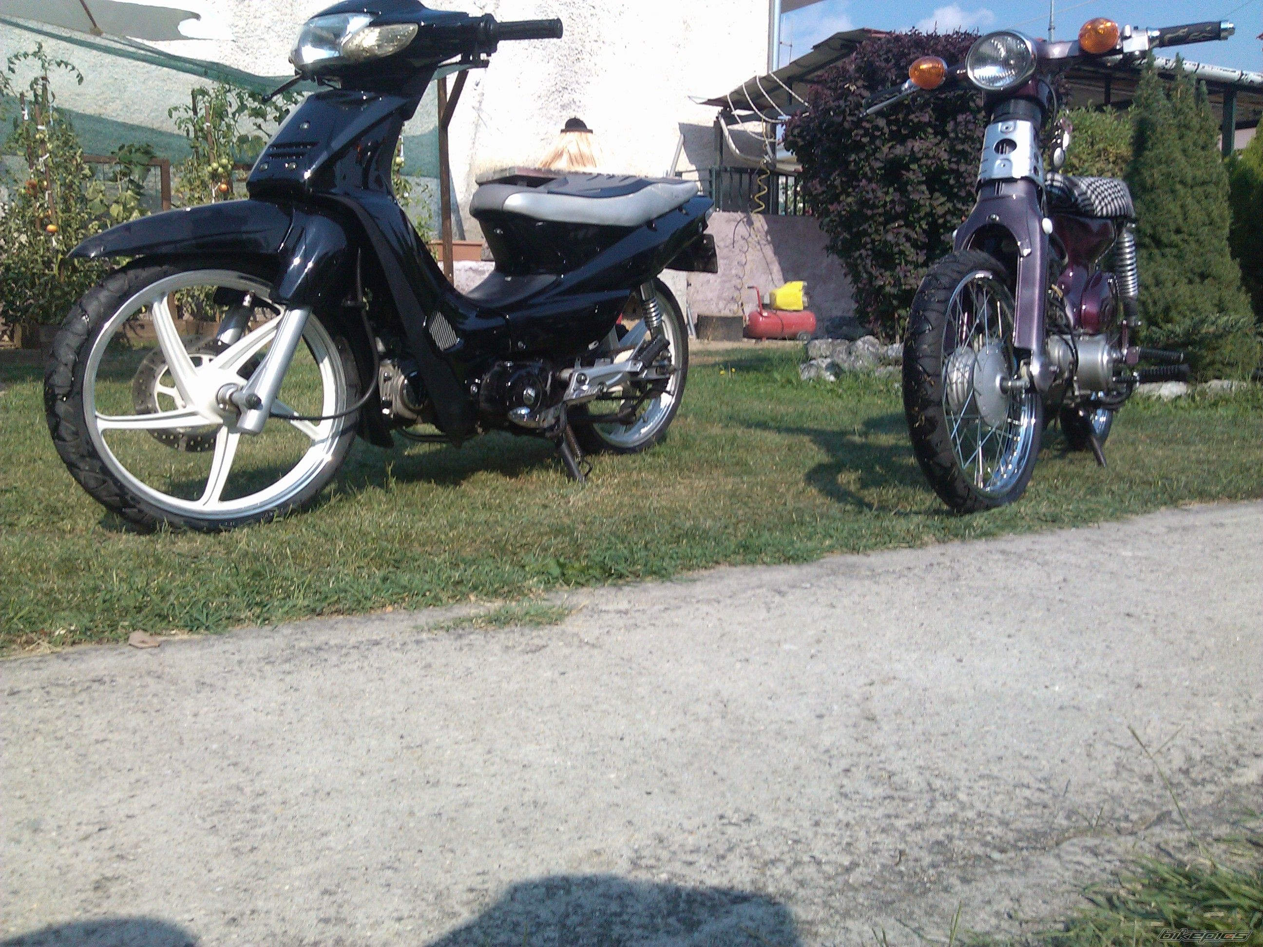 Photo 2491399