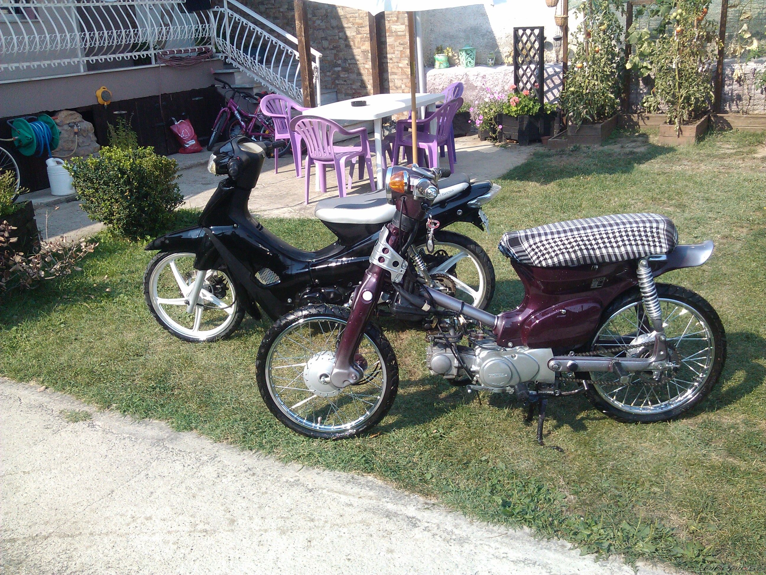 Photo 2491402