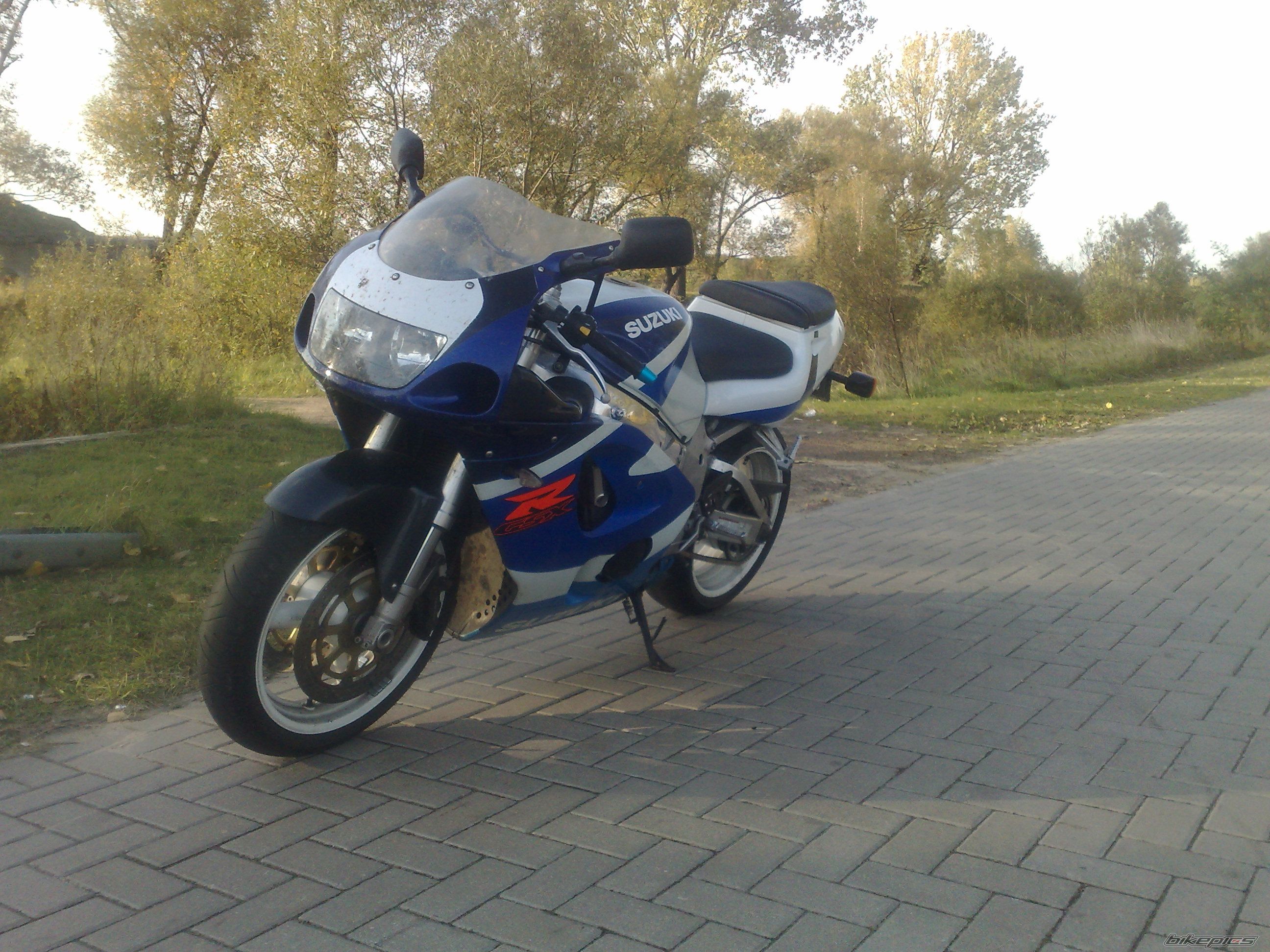 Photo 2491453