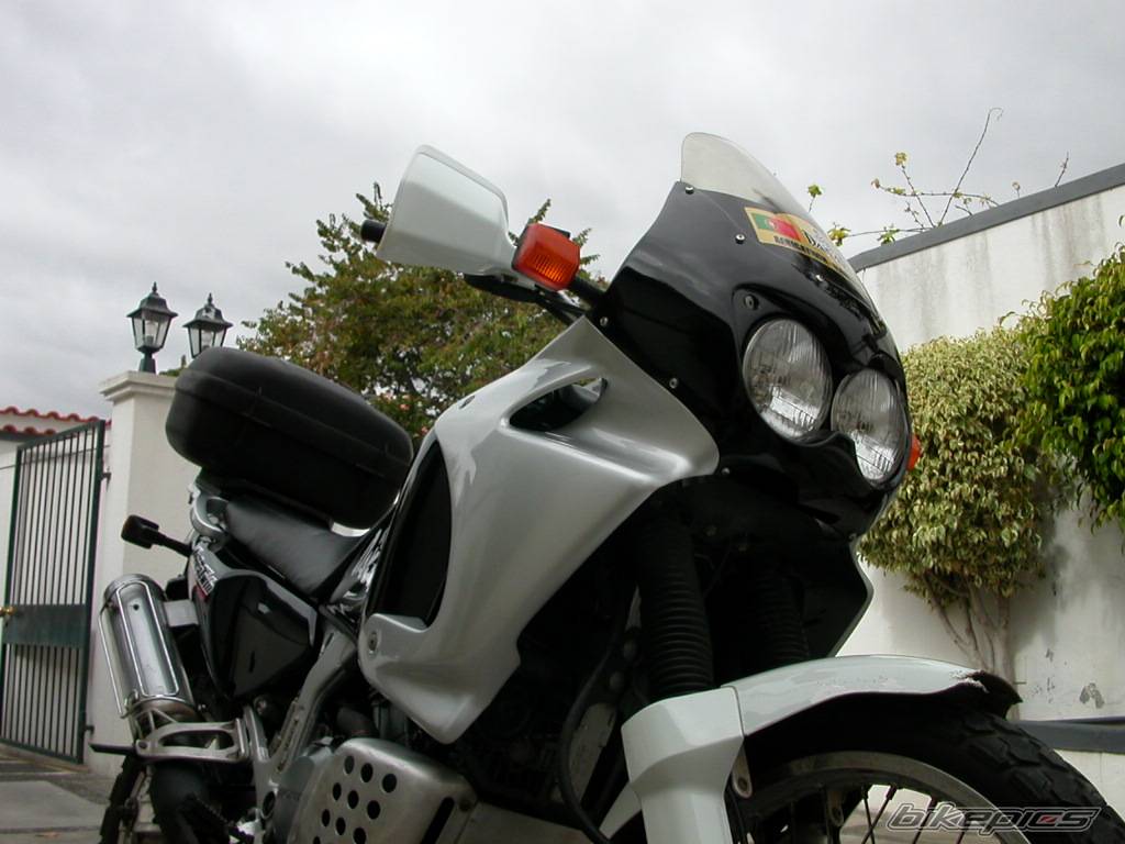 Photo 249158