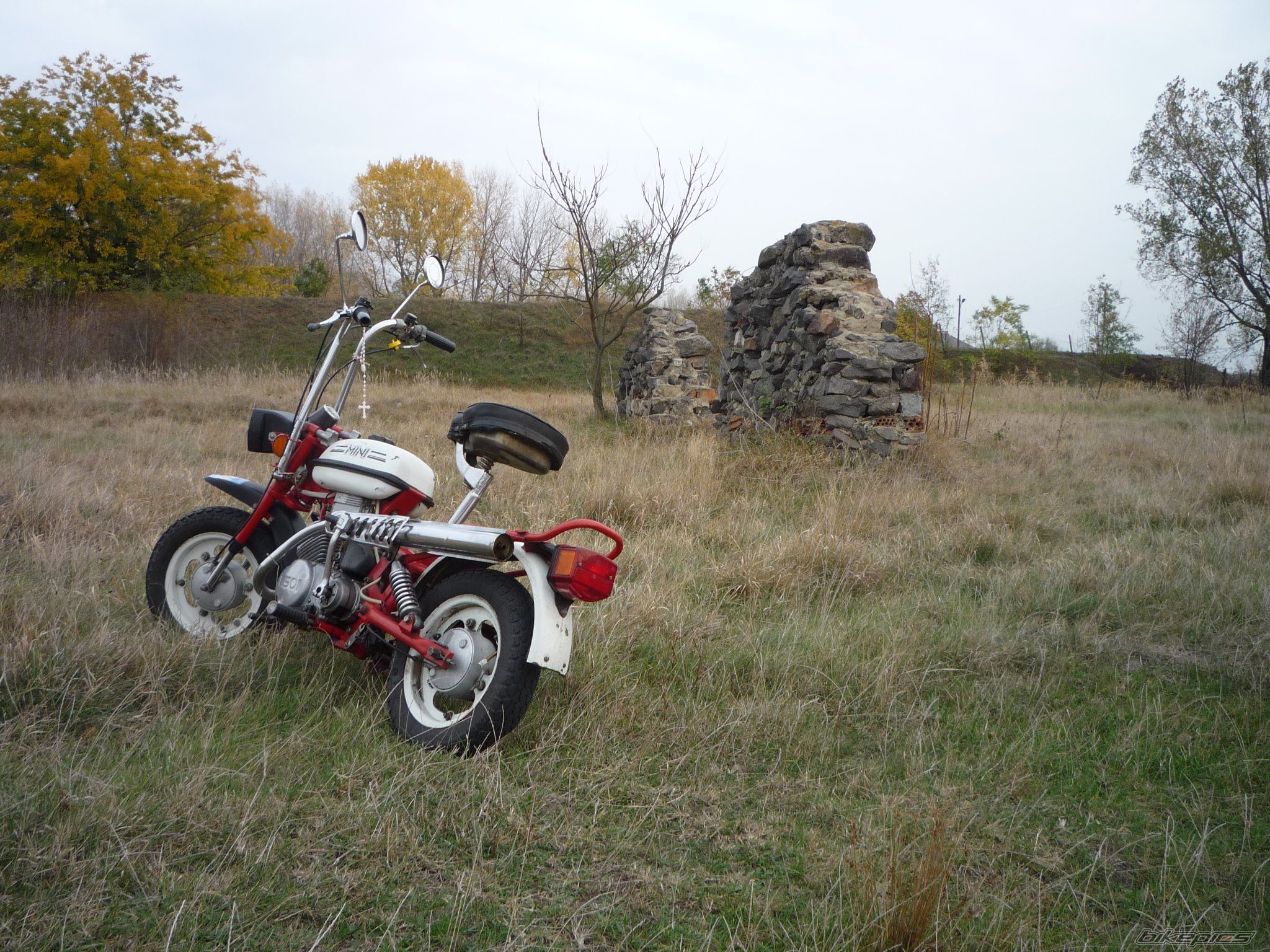 Photo 2491589