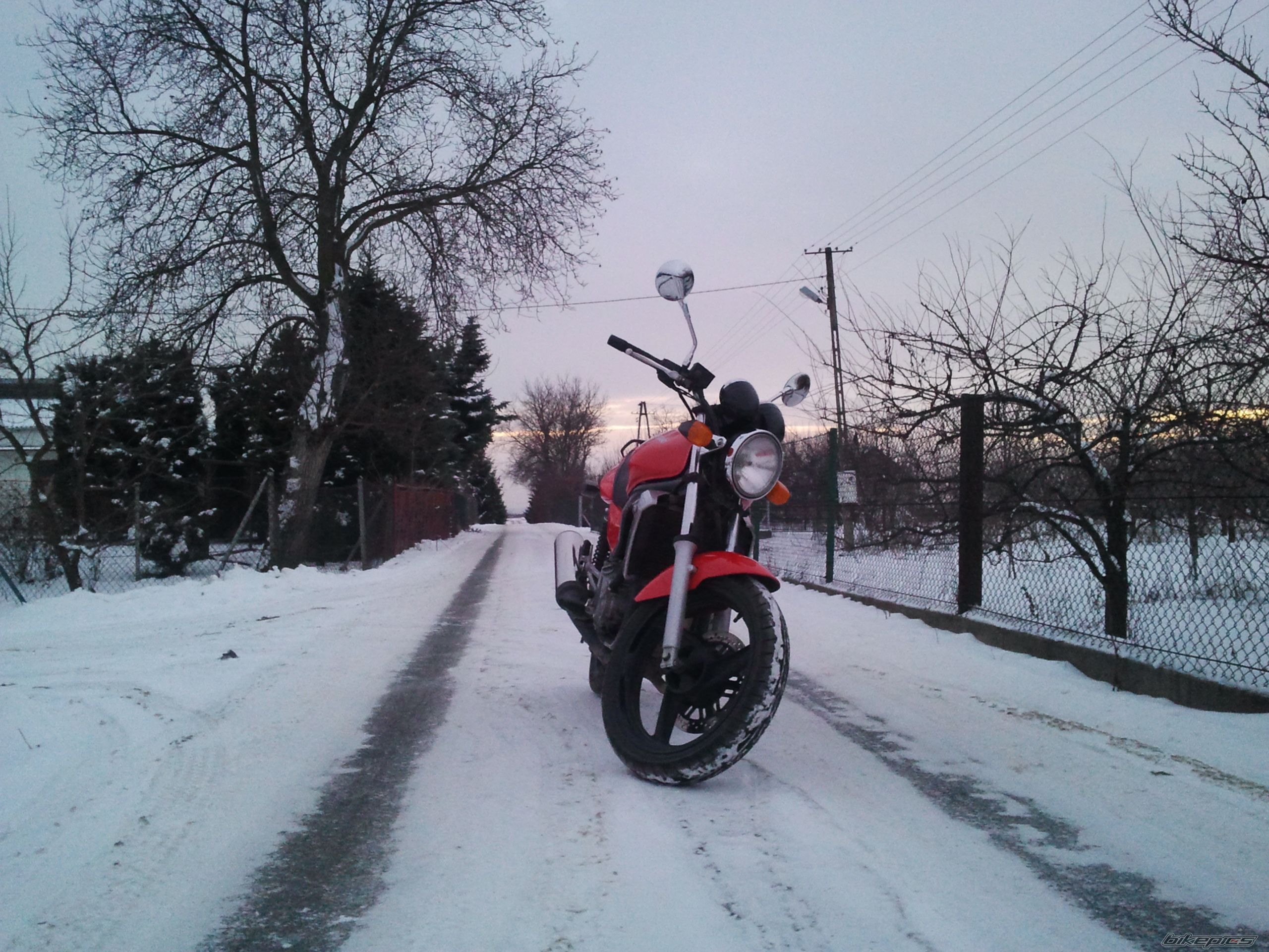 Bike Photo 2491706