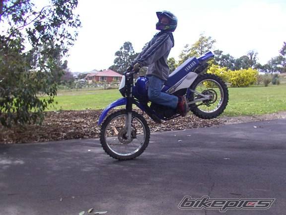 Photo 249181