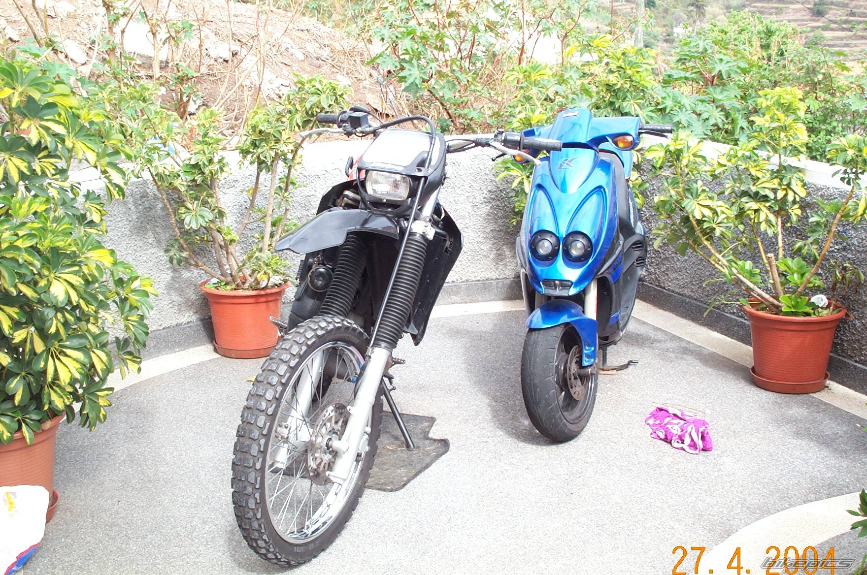 Photo 249199