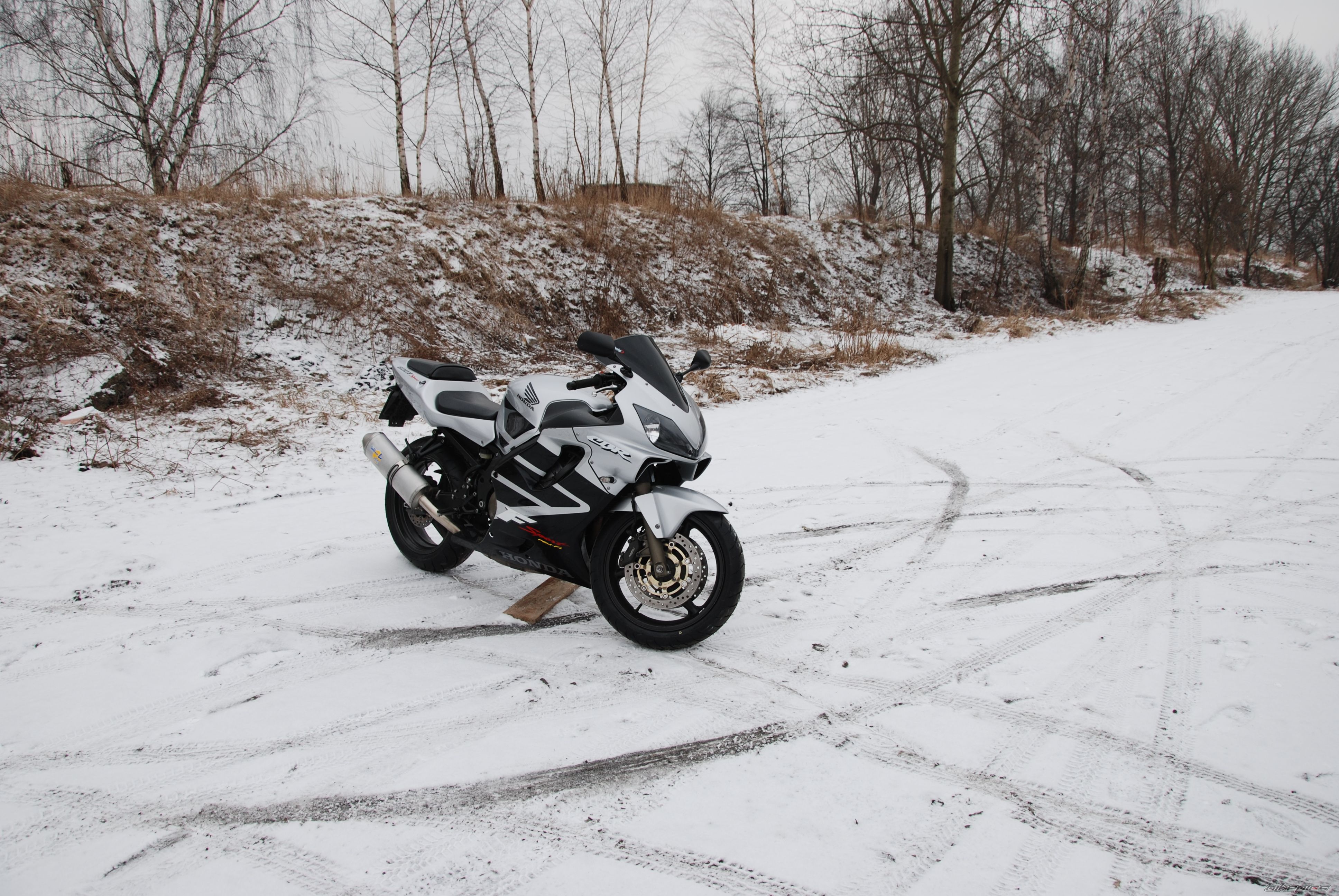 Photo 2492050