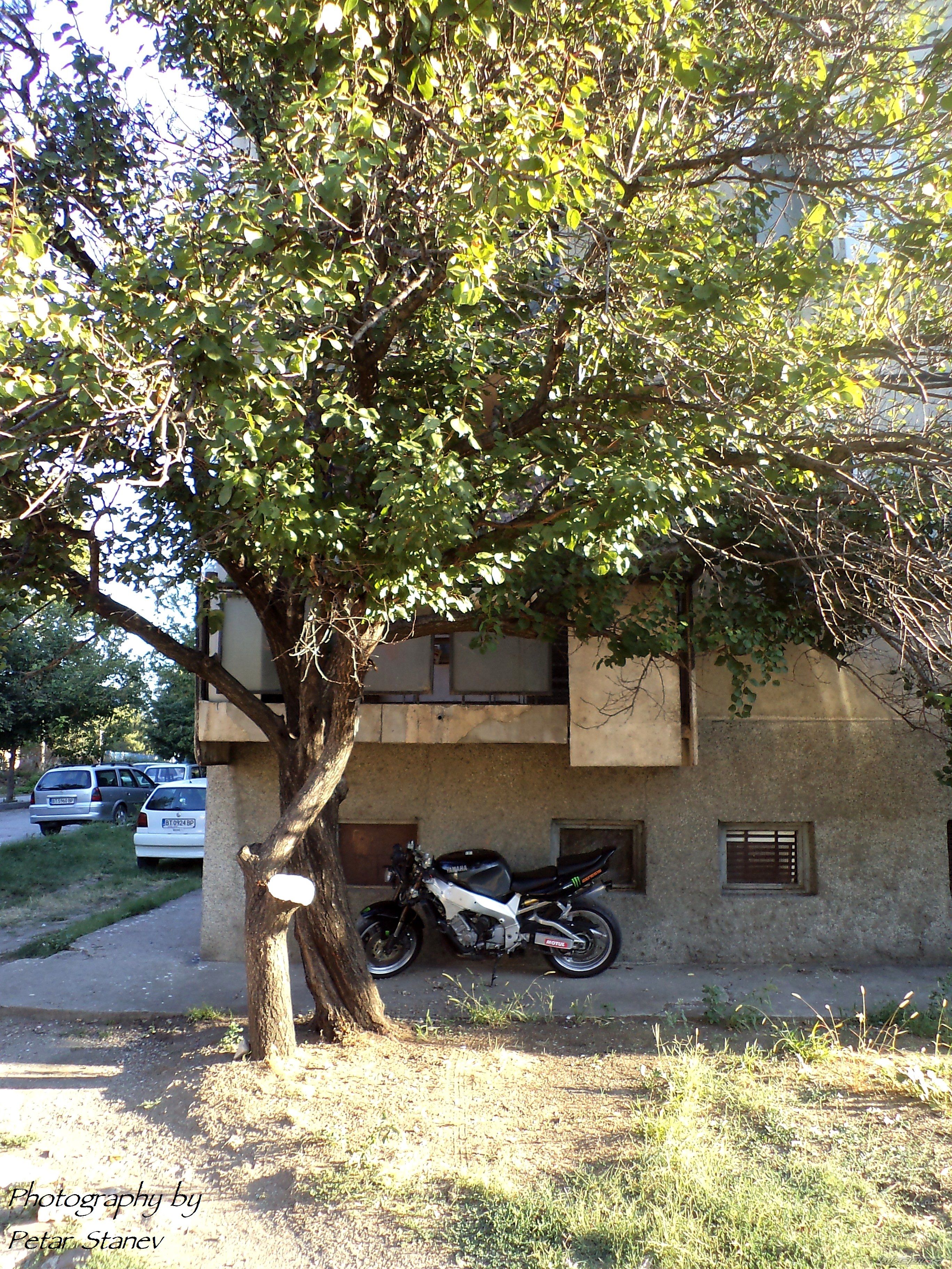 Photo 2492101