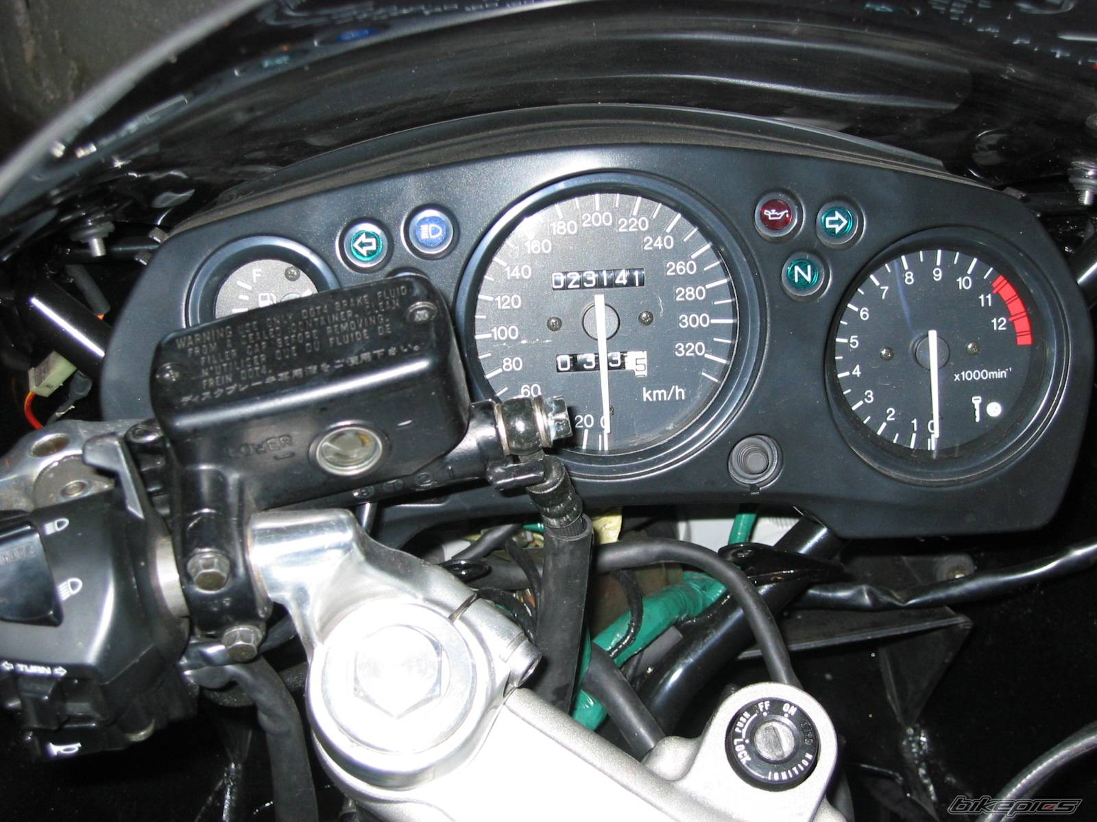 Photo 249212