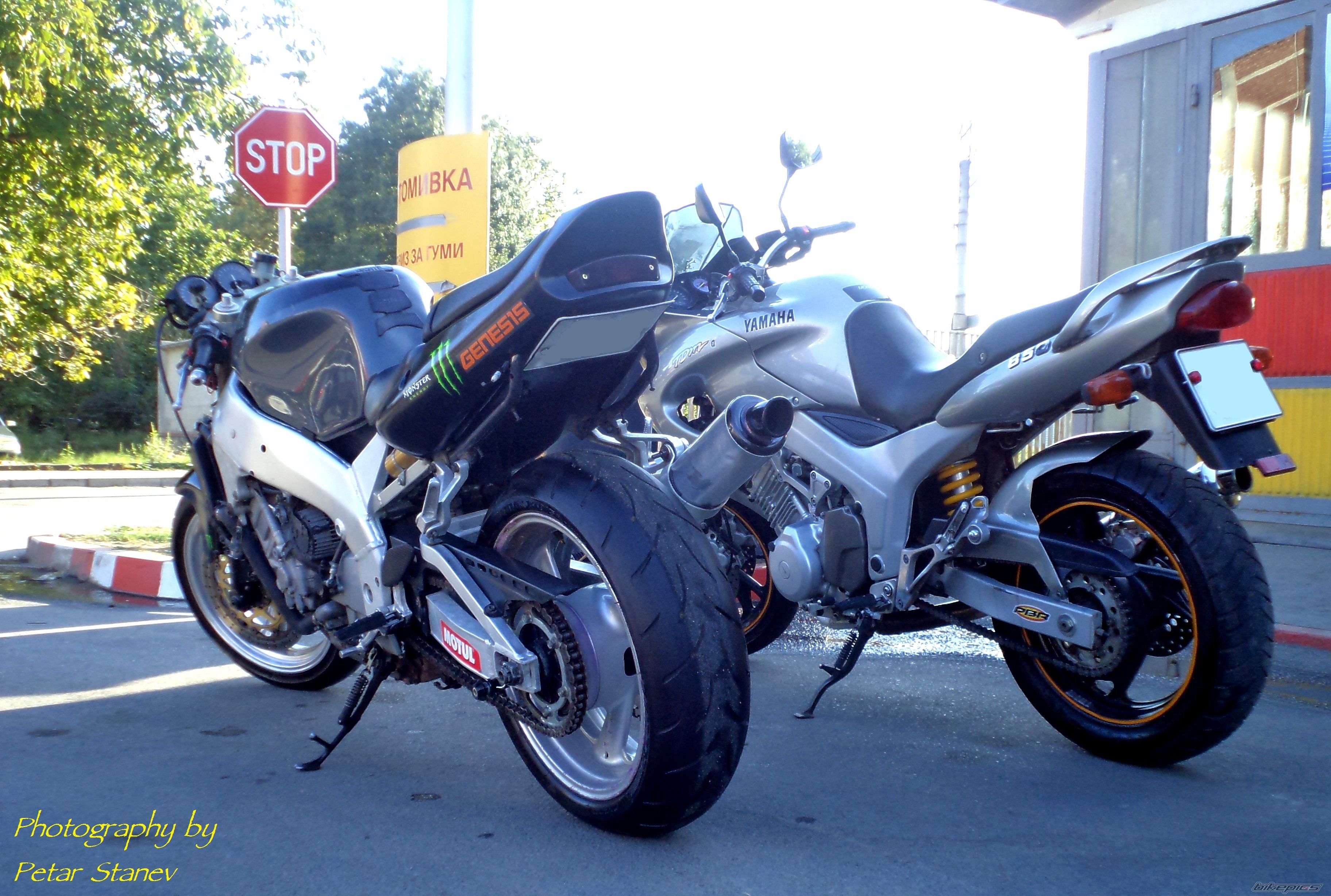 Photo 2492125