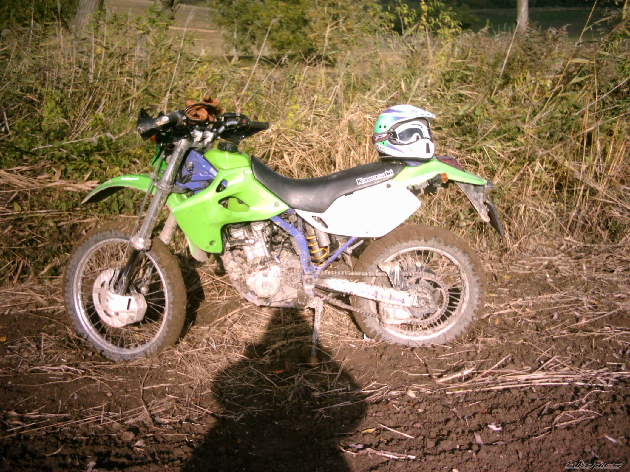 Bike Photo 249227