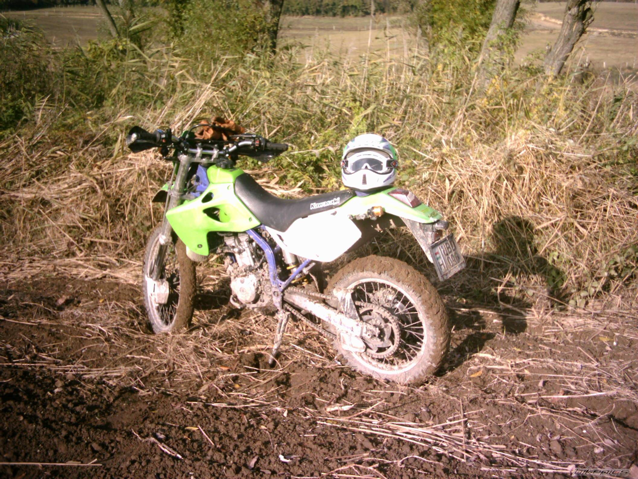 Photo 249229