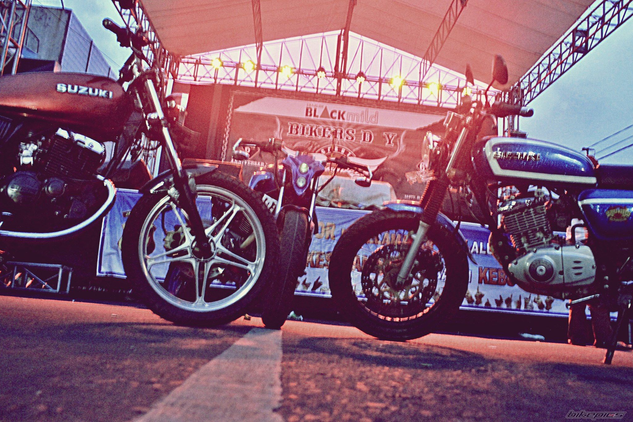 Photo 2492444
