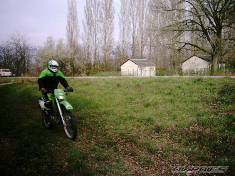 Photo 249257