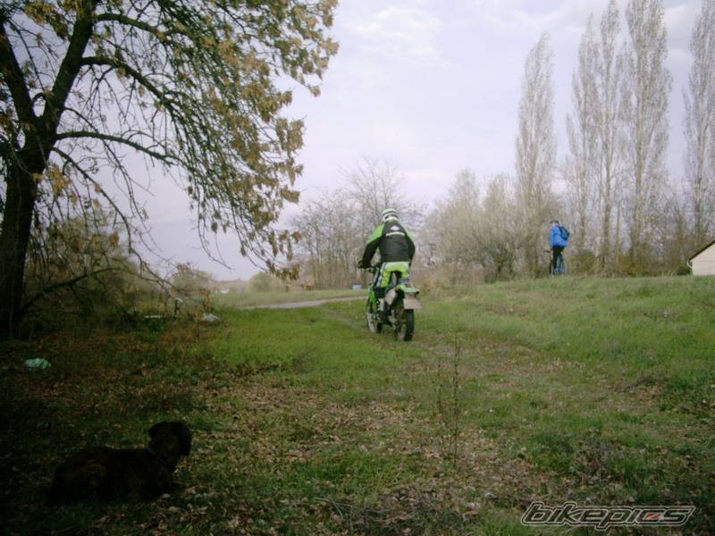 Photo 249258