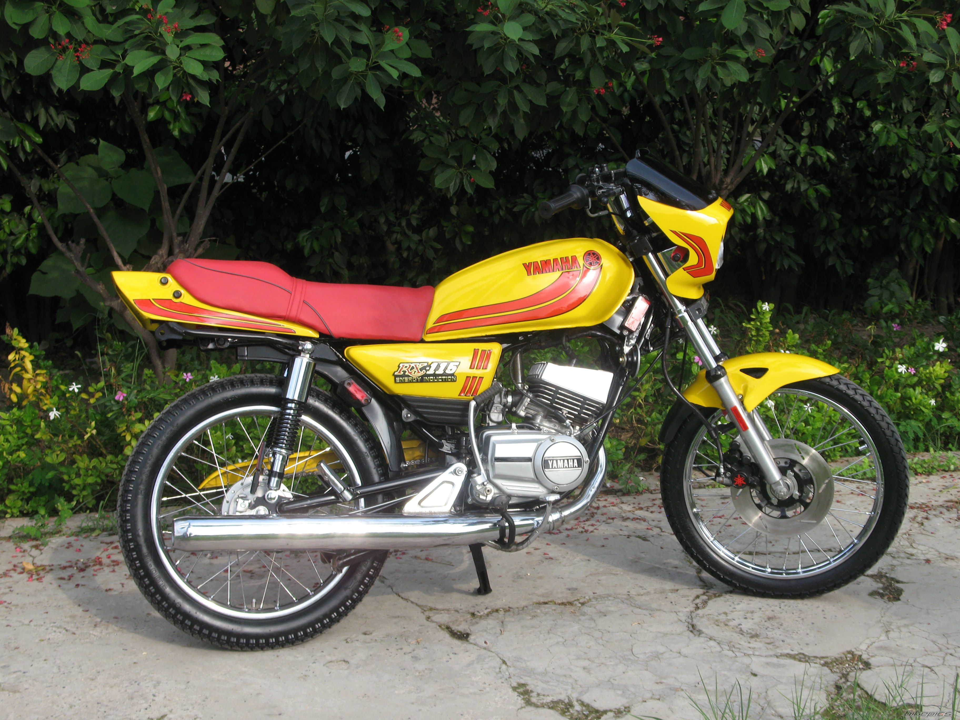 Photo 2492599