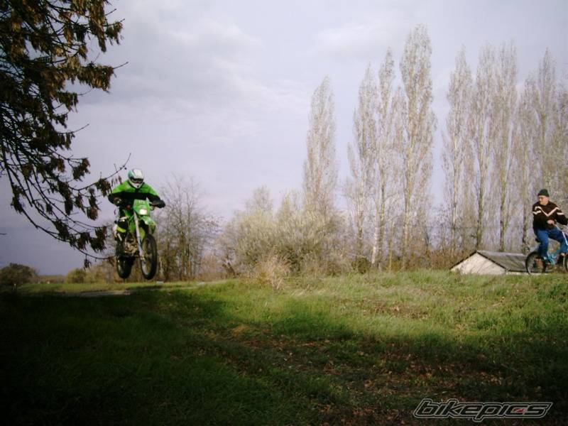 Photo 249260