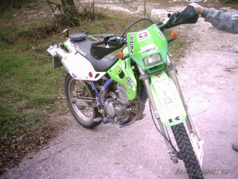 Photo 249266