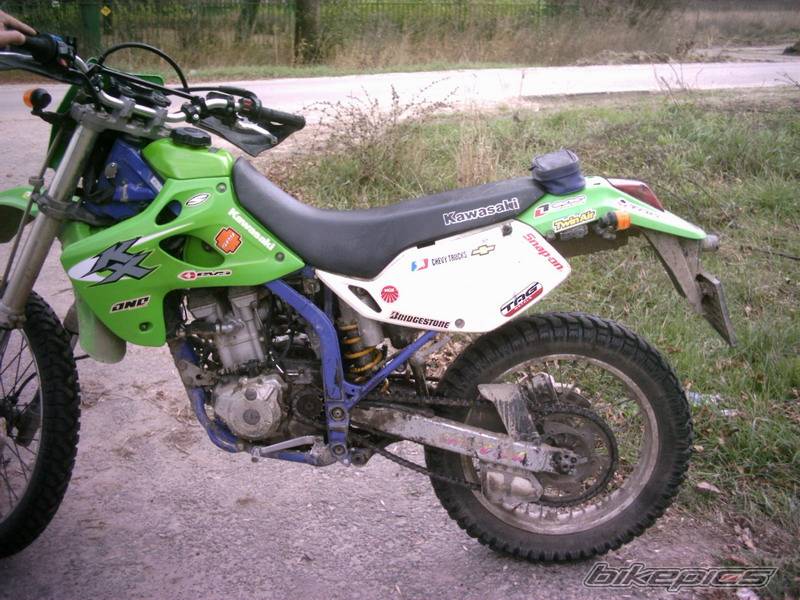 Photo 249269