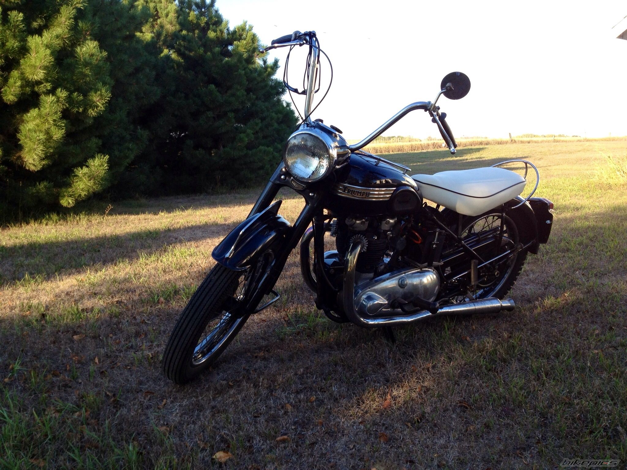 Photo 2492792