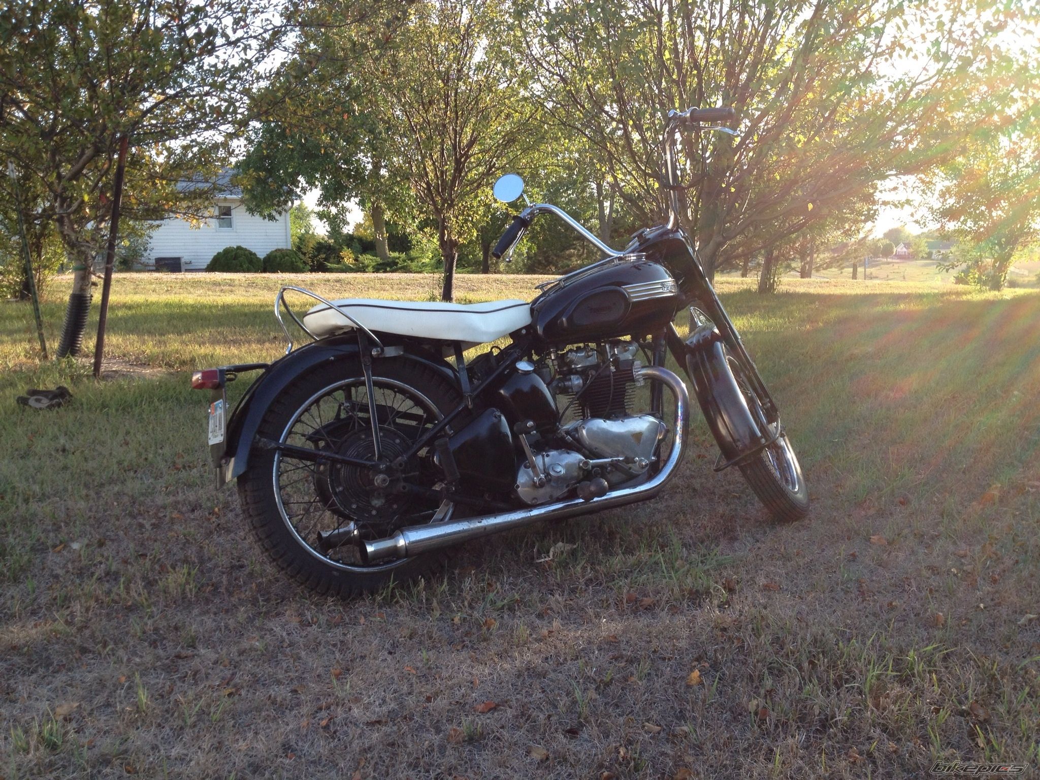 Photo 2492793