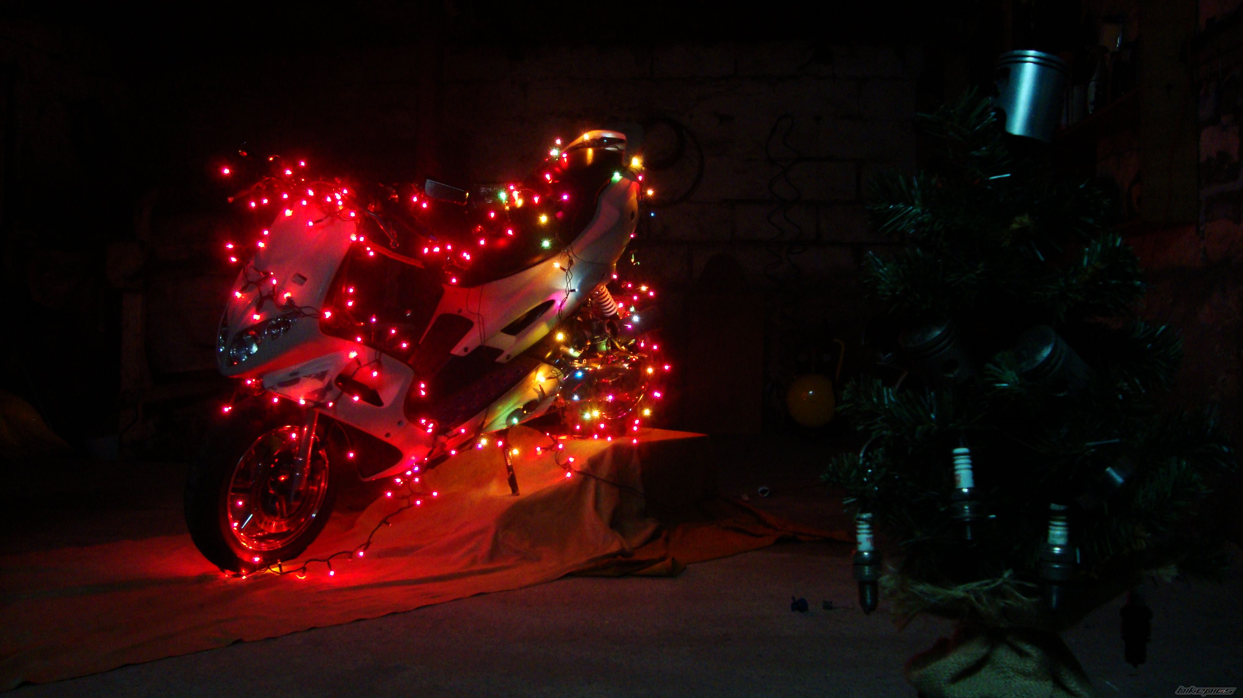Photo 2492855