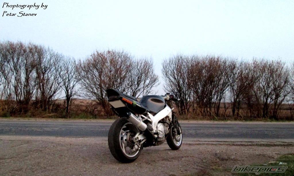 Photo 2492900