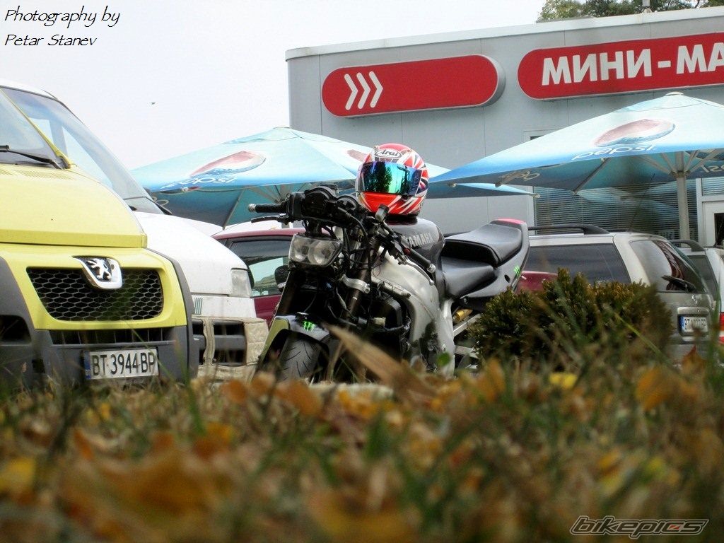 Photo 2492934