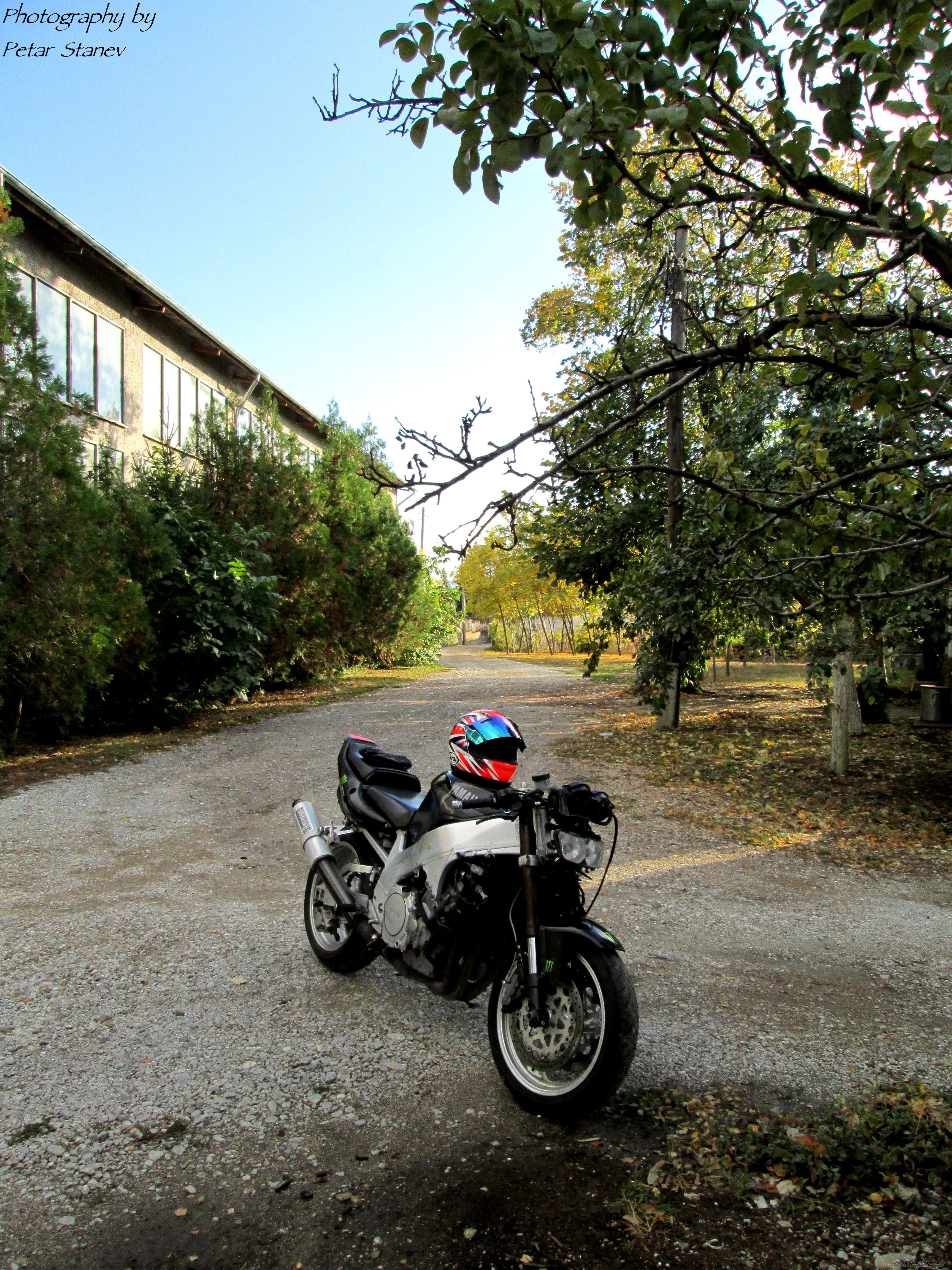 Photo 2492940